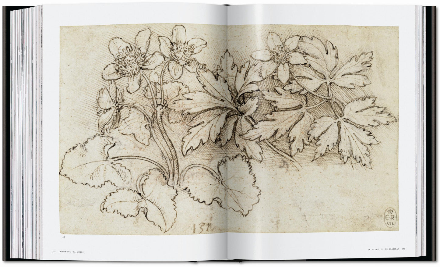 Leonardo. Obra pictórica completa y obra gráfica (Spanish)