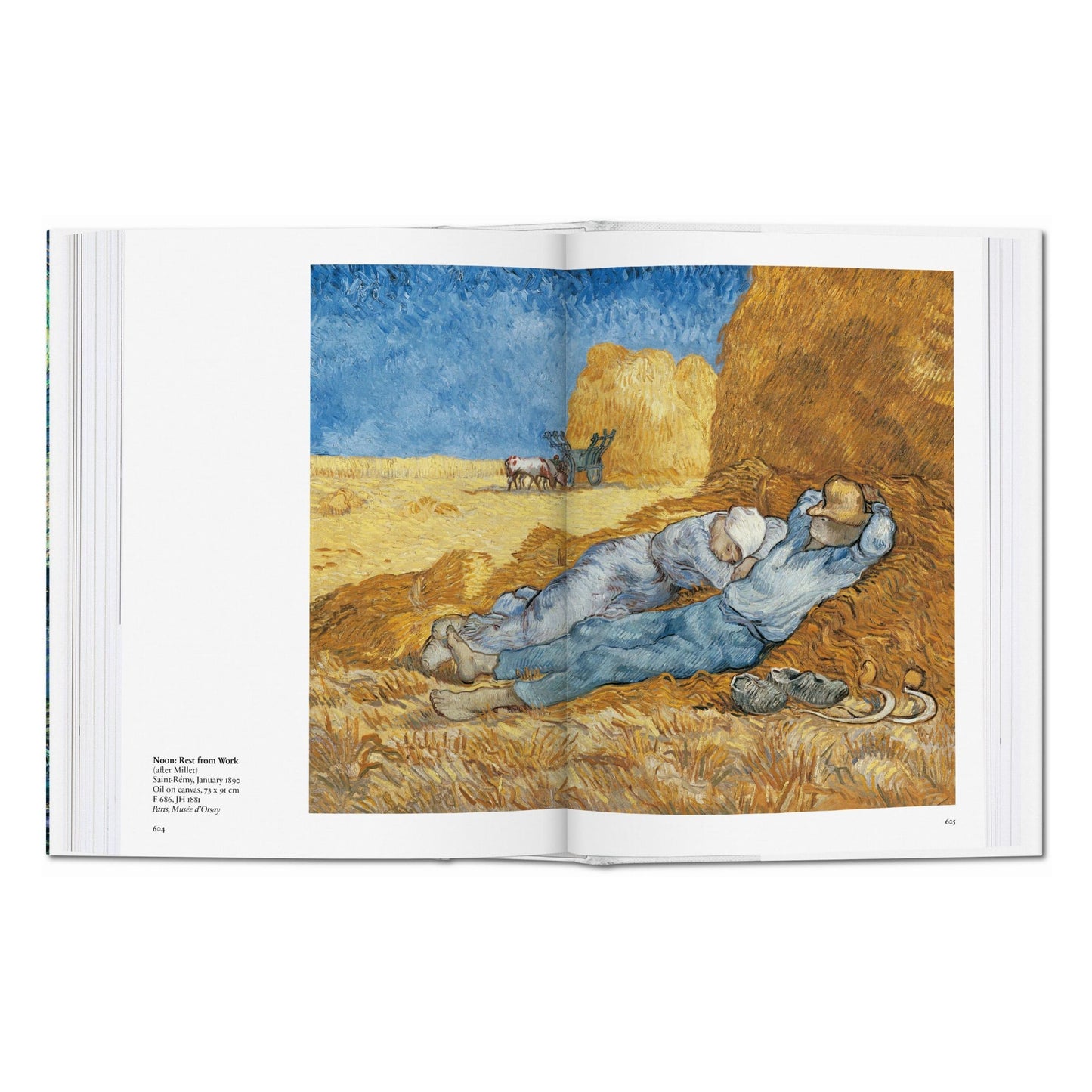 Van Gogh. Sämtliche Gemälde (German)