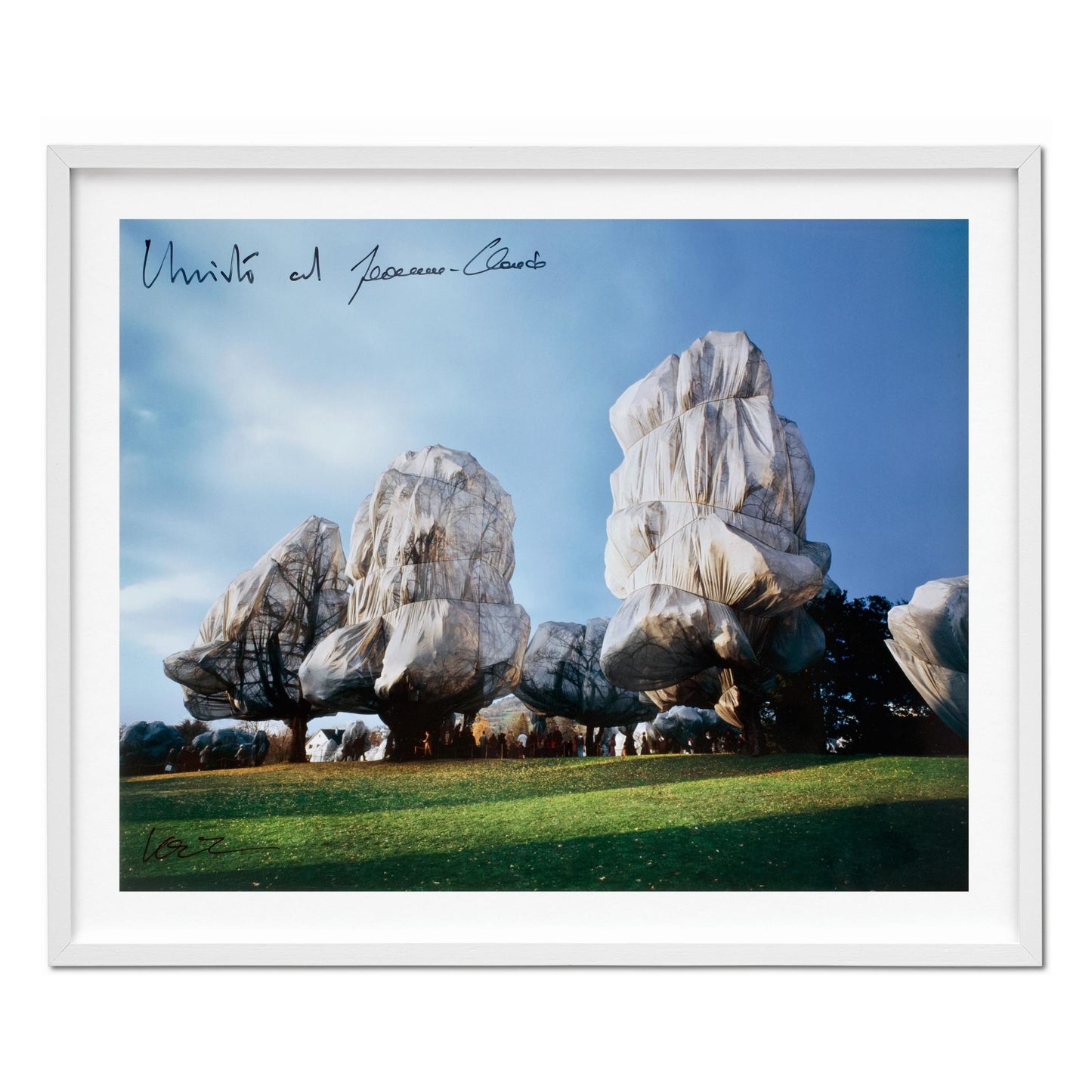 Christo and Jeanne-Claude. Wrapped Trees. Basel 1997–1998 (German, French, English) (AP)
