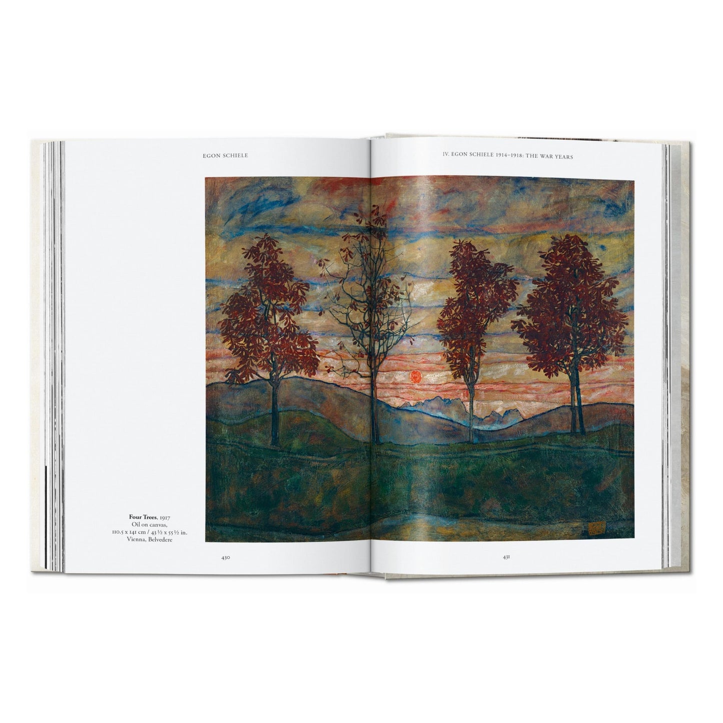 Egon Schiele. Die Gemälde. 40th Ed. (German)
