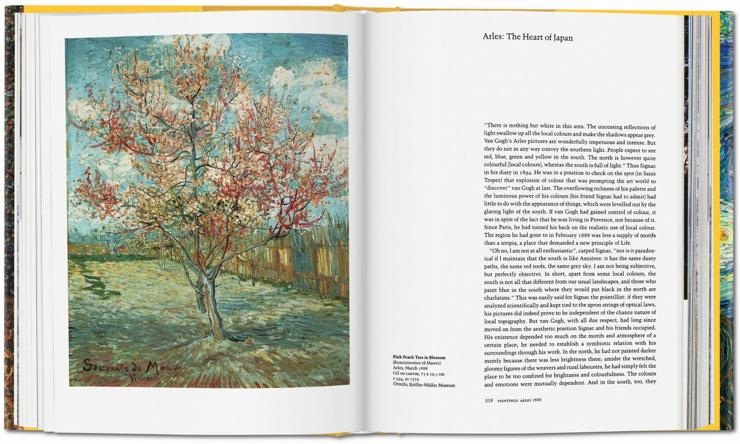 Van Gogh. Sämtliche Gemälde (German)