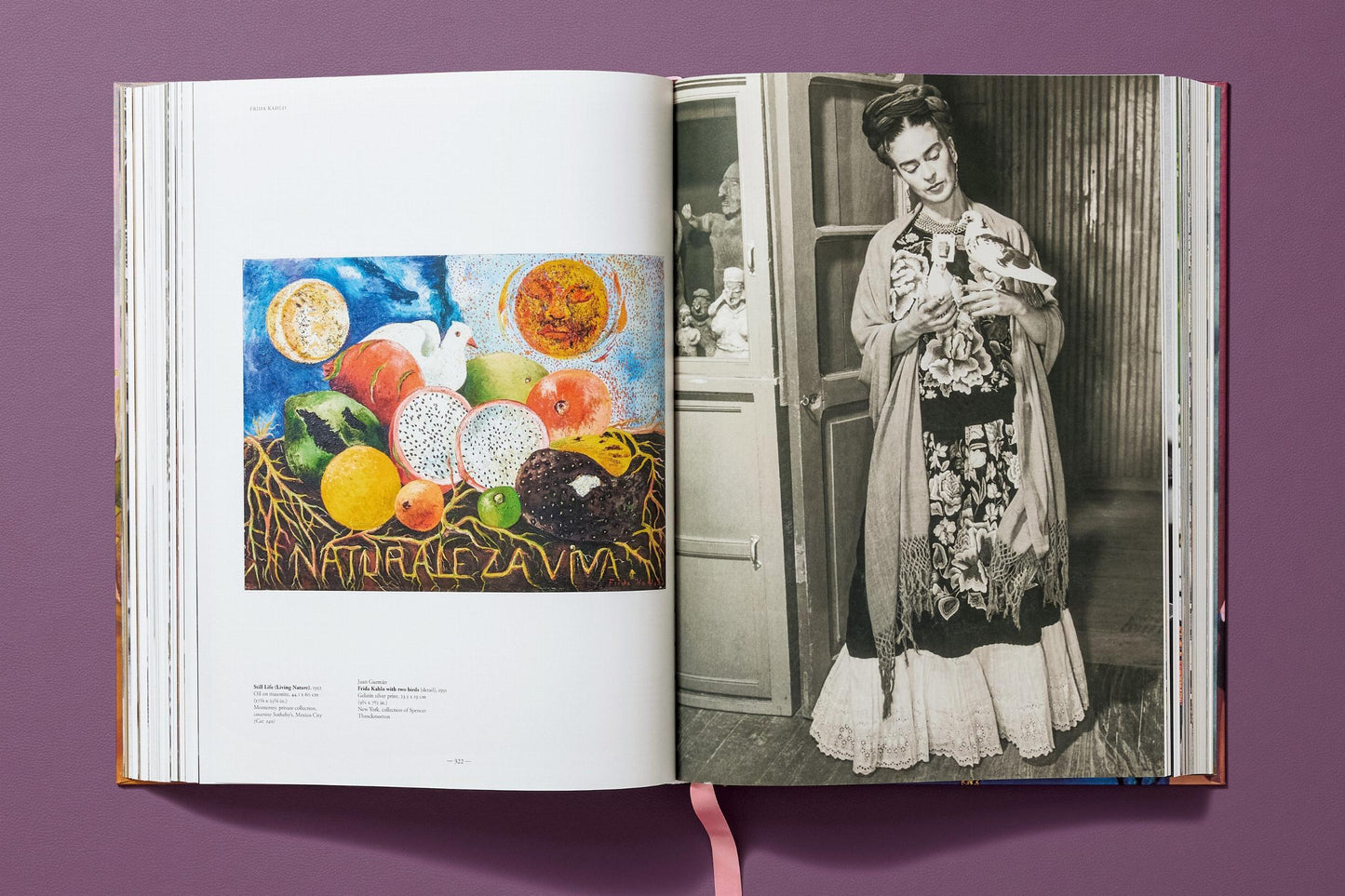Frida Kahlo. Sämtliche Gemälde (German)
