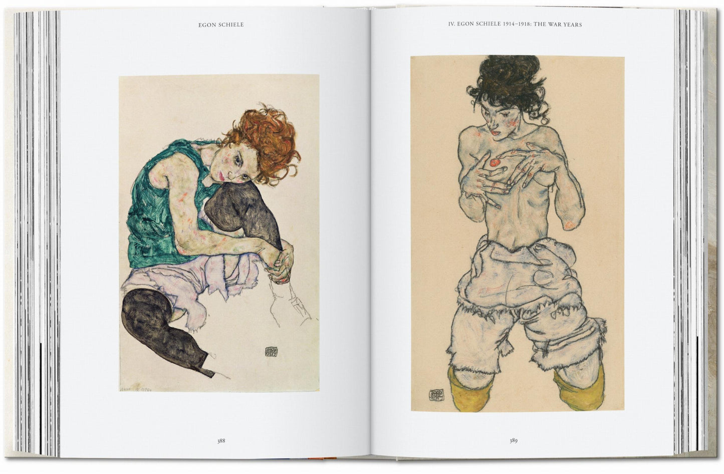 Egon Schiele. Die Gemälde. 40th Ed. (German)