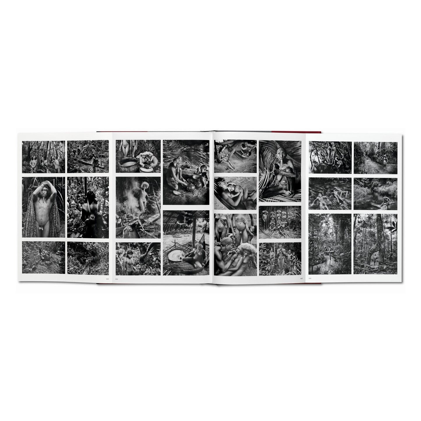 Sebastião Salgado. Genesi (Italian)