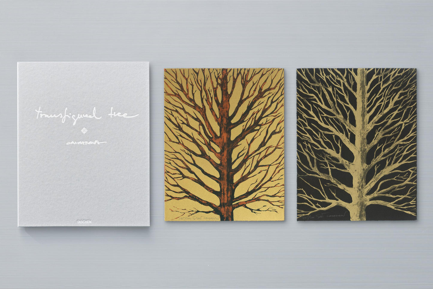 Calatrava. Complete Works 1979–Today. Art Edition Transfigured Trees 'Evening Star' and 'Morning Sun' (German, French, English) (AP)