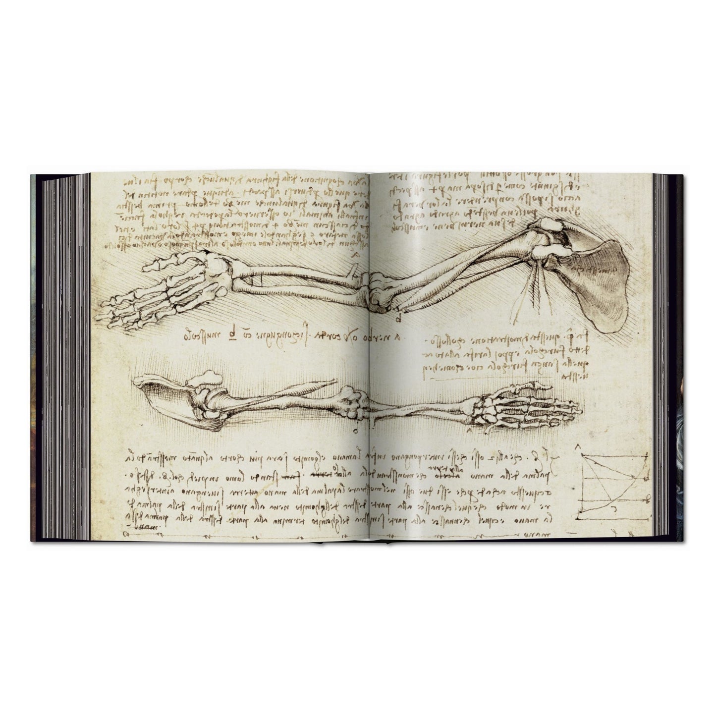Léonard de Vinci. Tout l'œuvre peint et graphique (French)