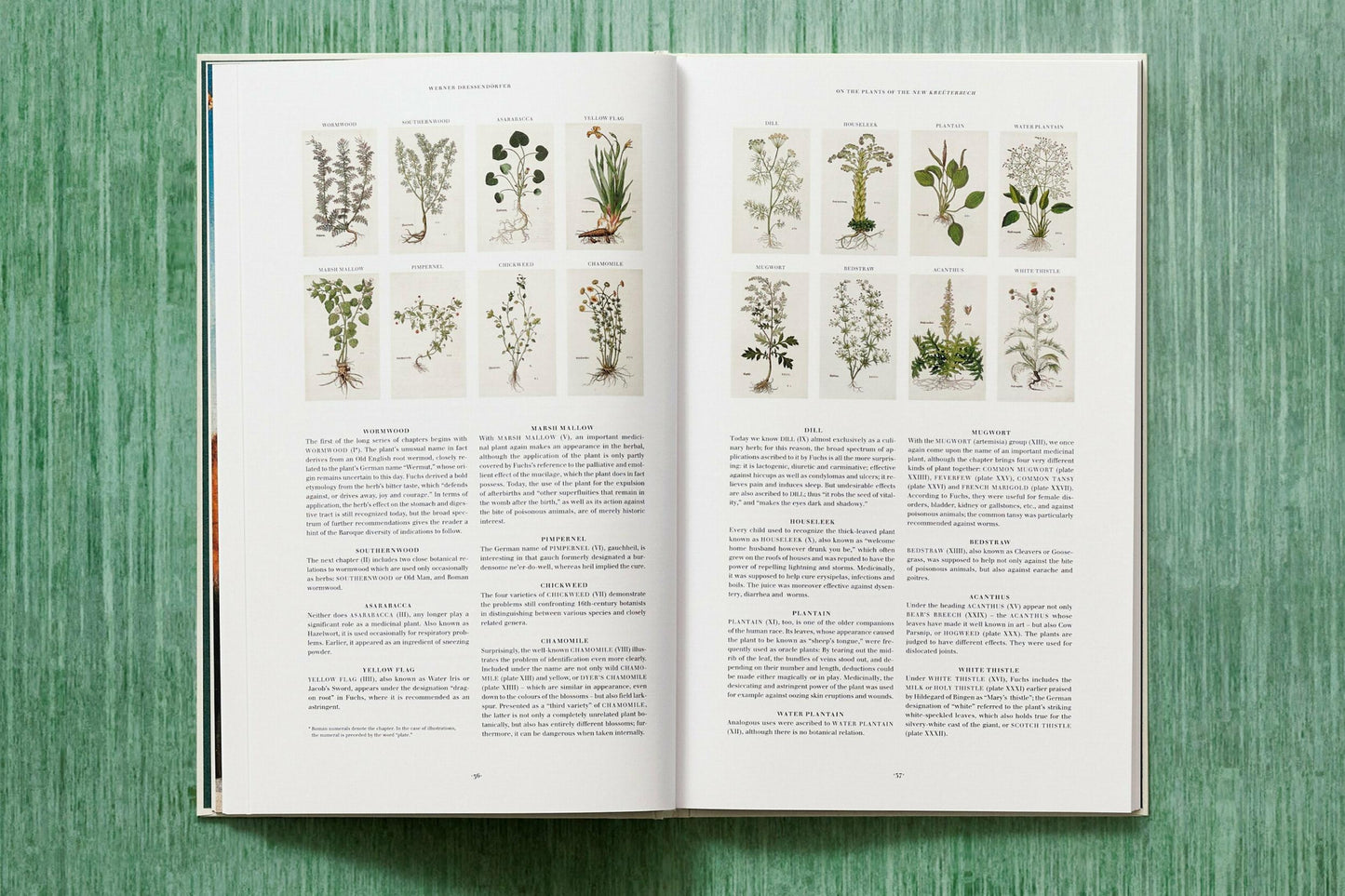 Leonhart Fuchs. Das New Kreüterbuch (German)