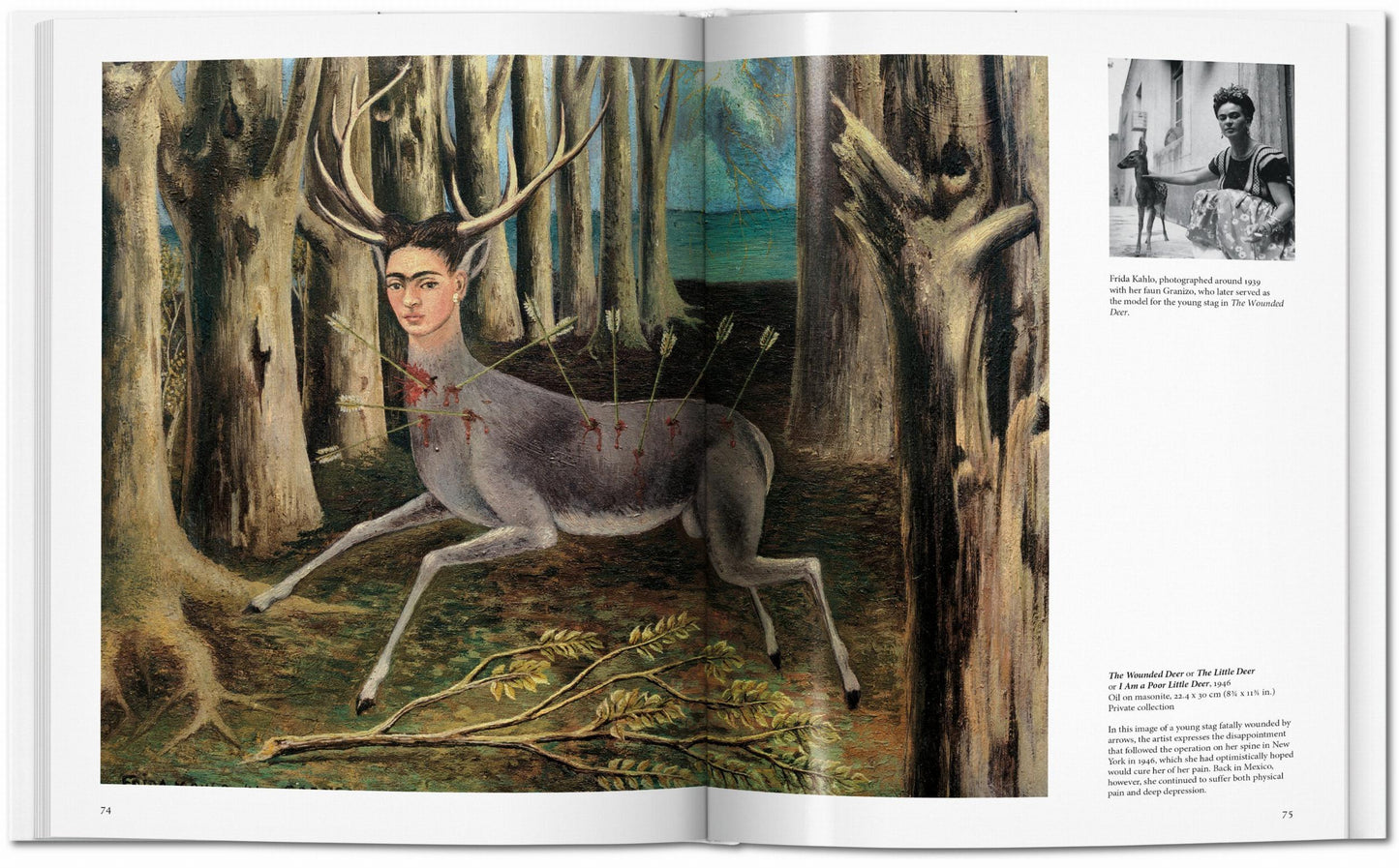 Kahlo (Dutch)