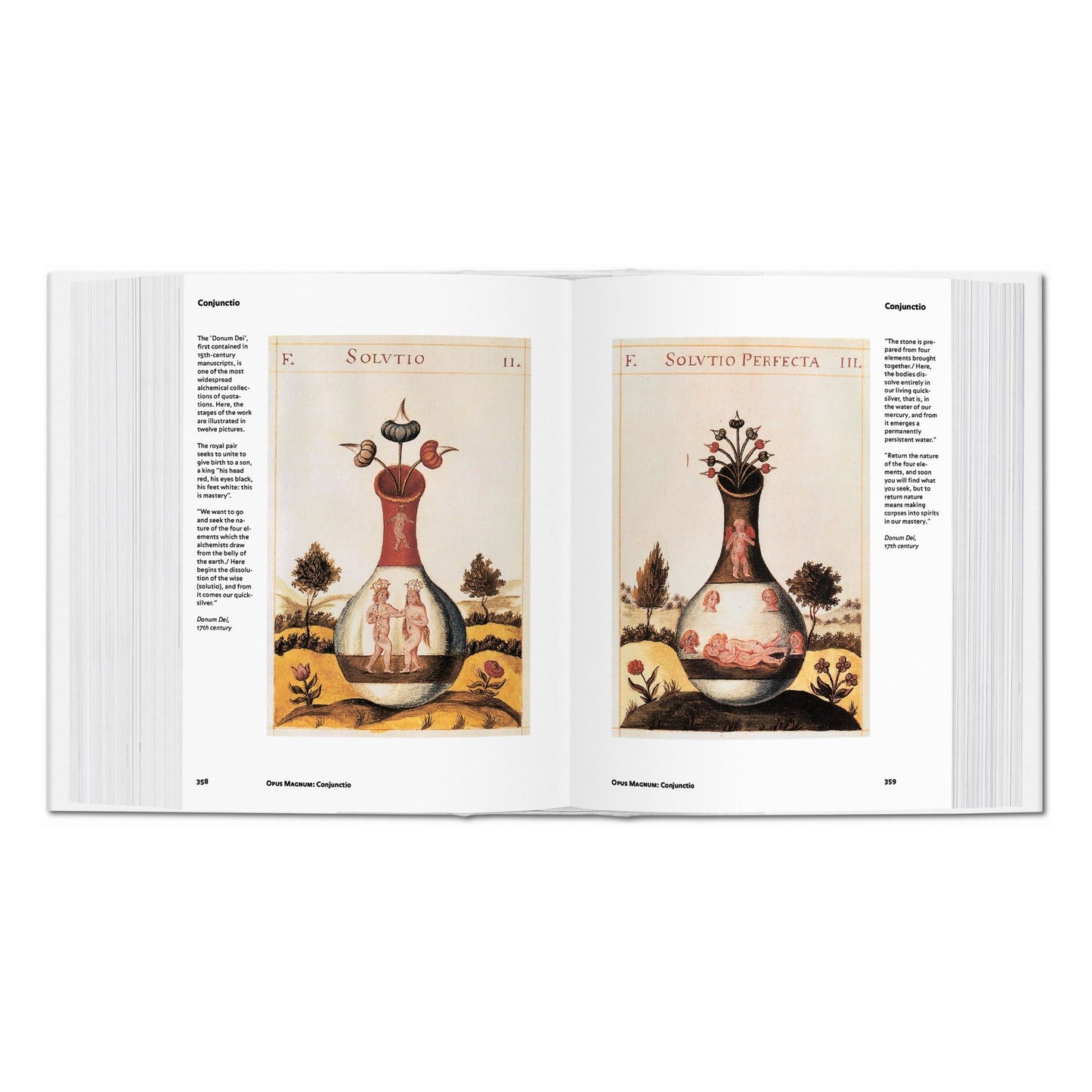Alchemie & Mystiek (Dutch)