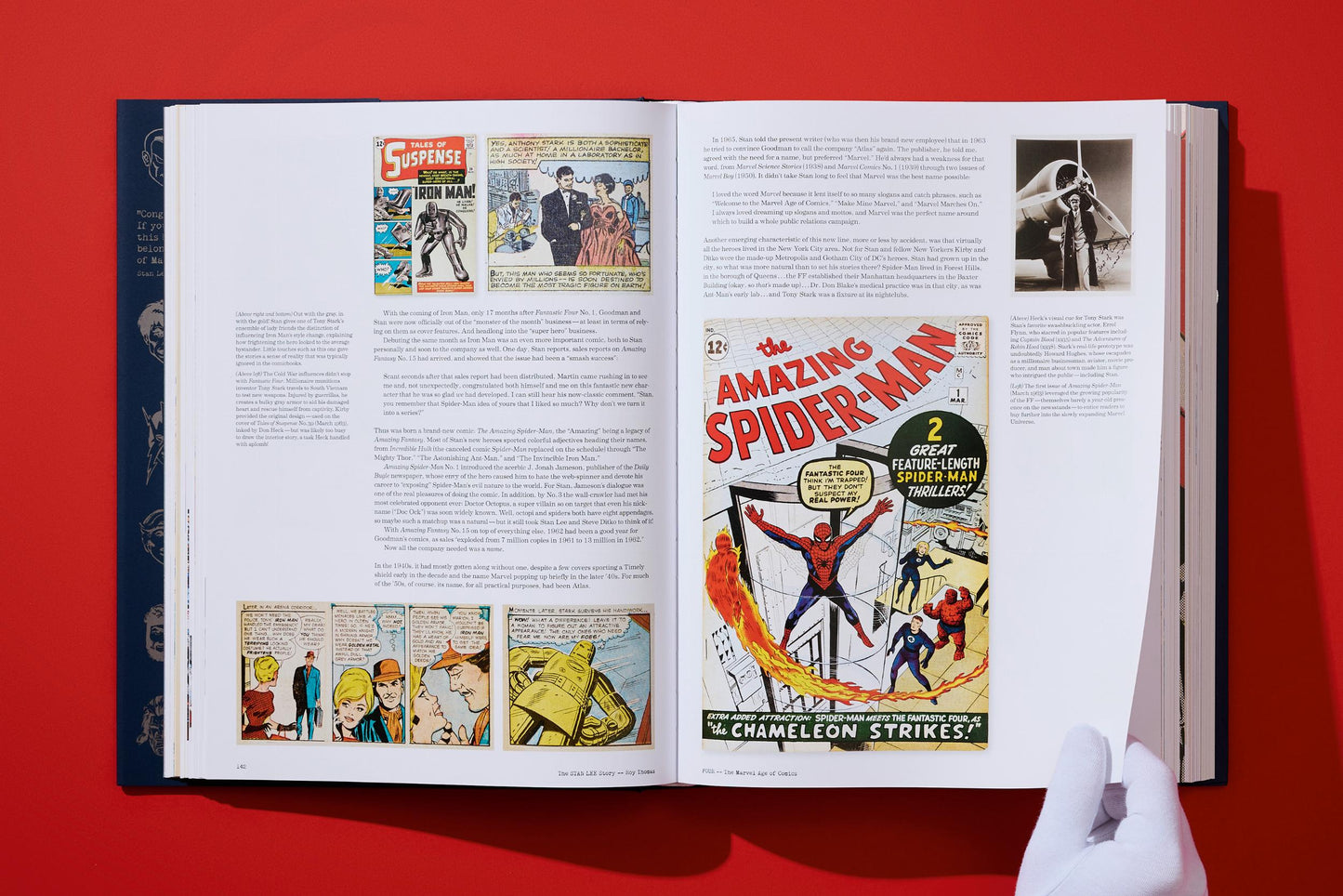 The Stan Lee Story (English)
