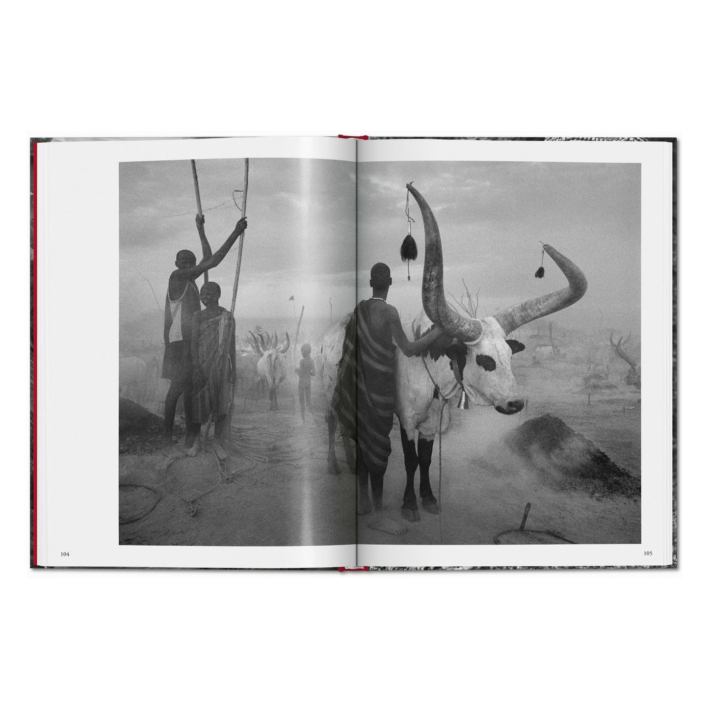 Sebastião Salgado. Genesis (German)