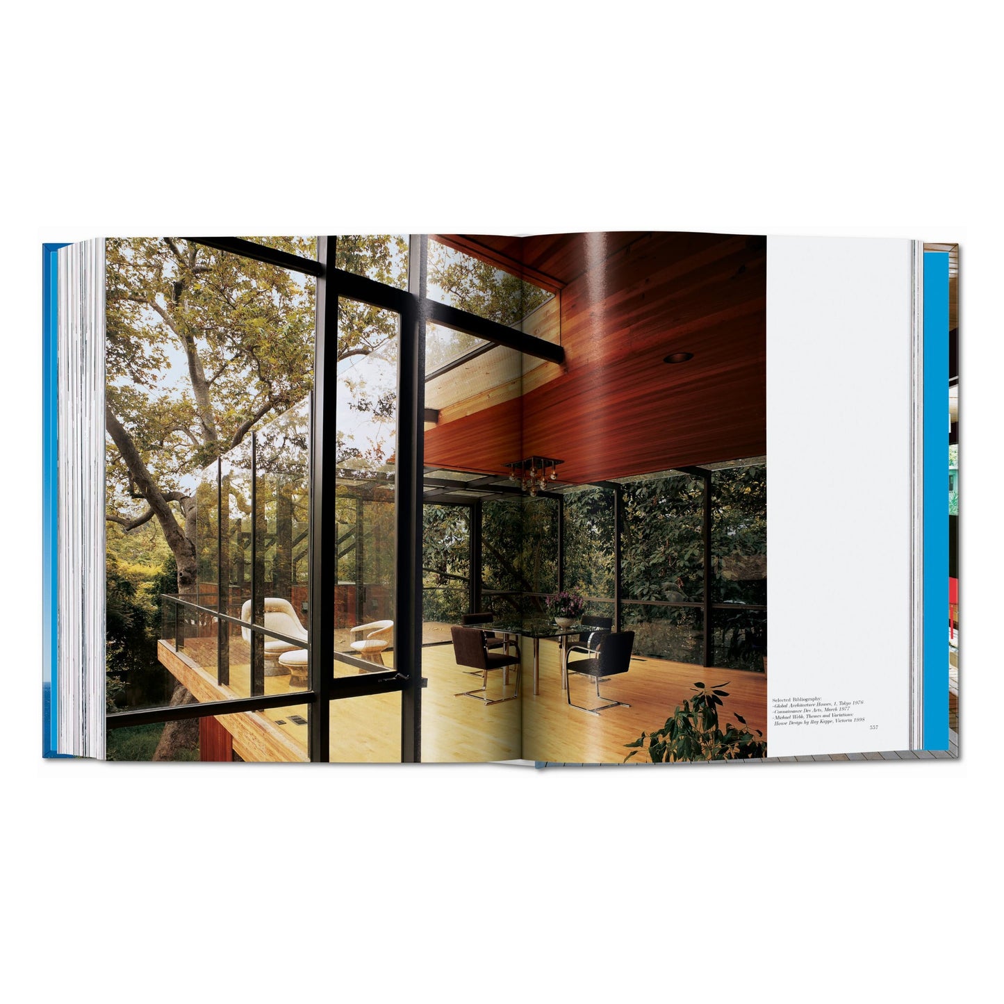 Julius Shulman. Modernism Rediscovered (German, French, English)