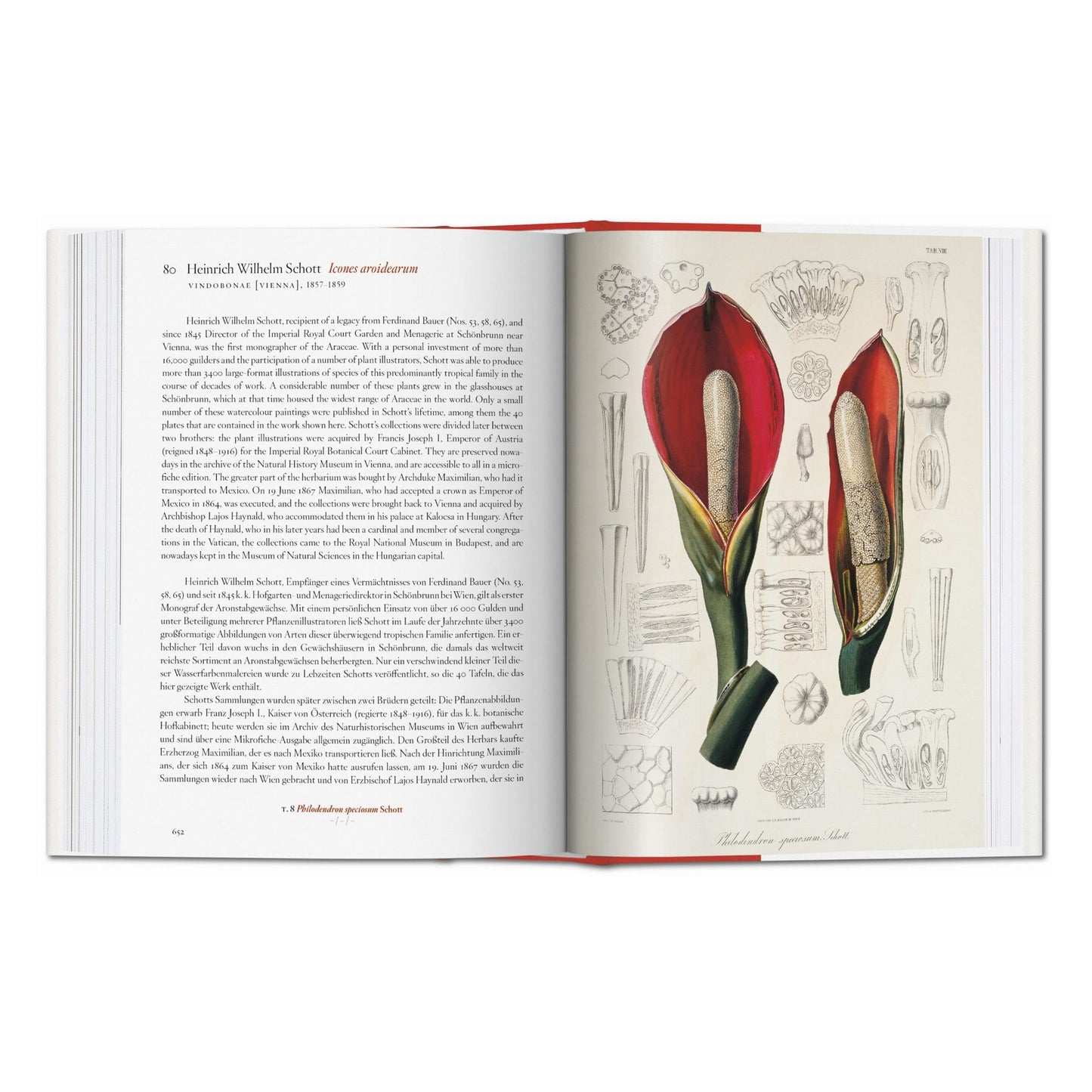 A Garden Eden. Masterpieces of Botanical Illustration. 45th Ed. (Spanish, English, Italian)