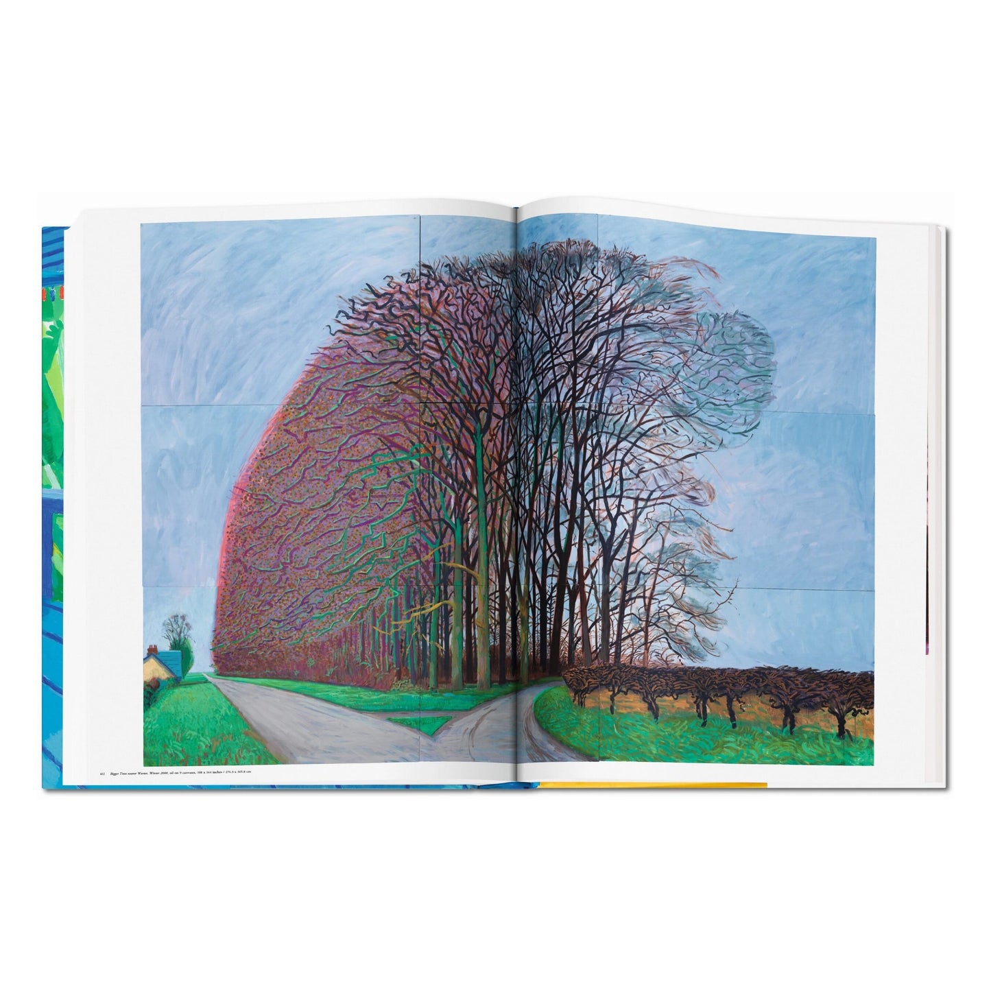David Hockney. A Bigger Book (English) (AP)