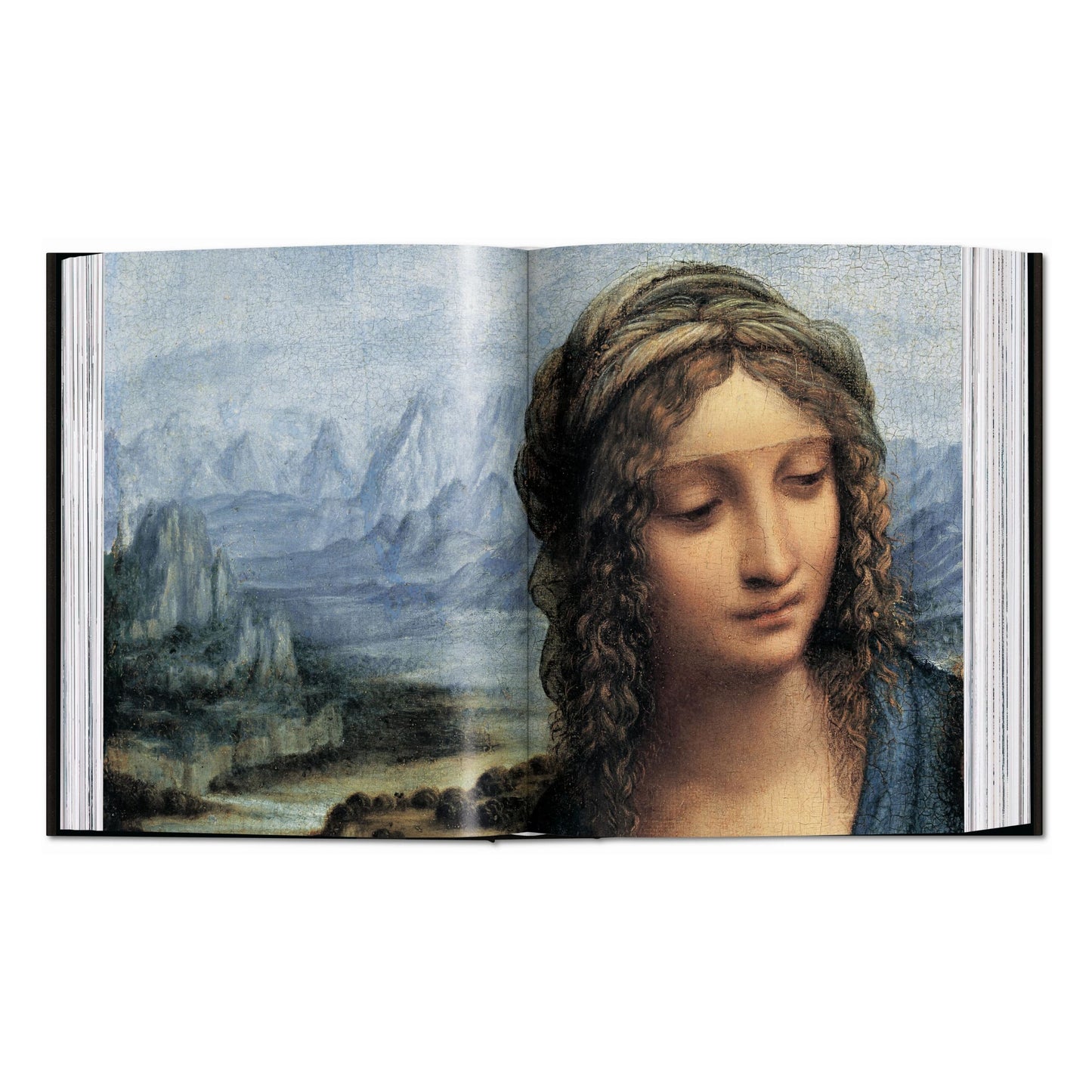 Leonardo. Tutti i dipinti e disegni (Italian)