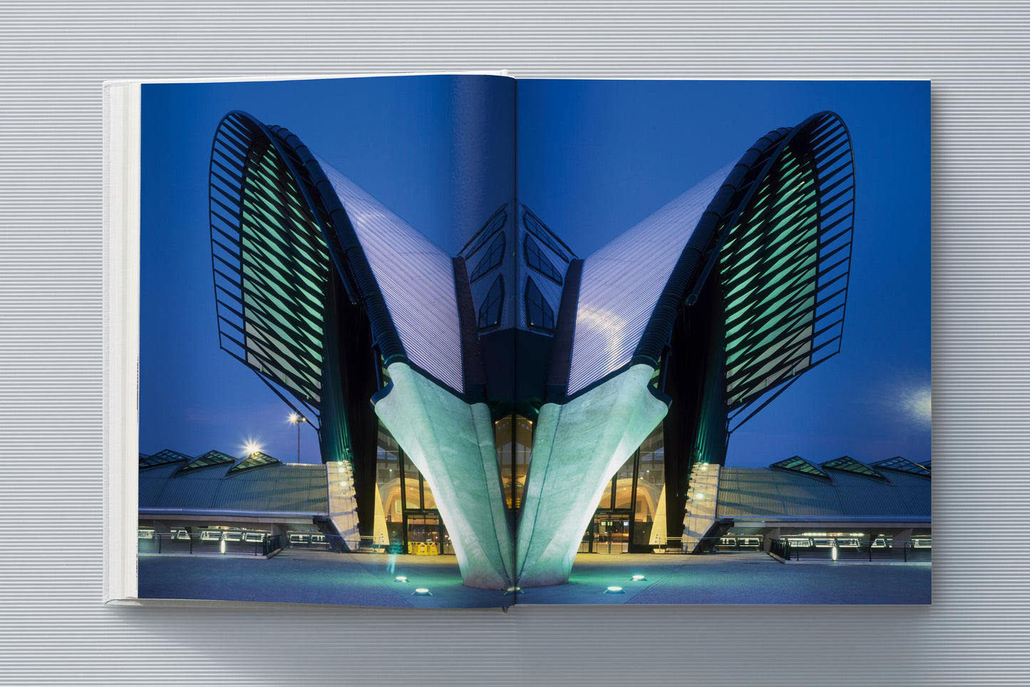Calatrava. Complete Works 1979–Today. Art Edition 'Transfigured Tree. Messenger of Light', 2023 (German, French, English)