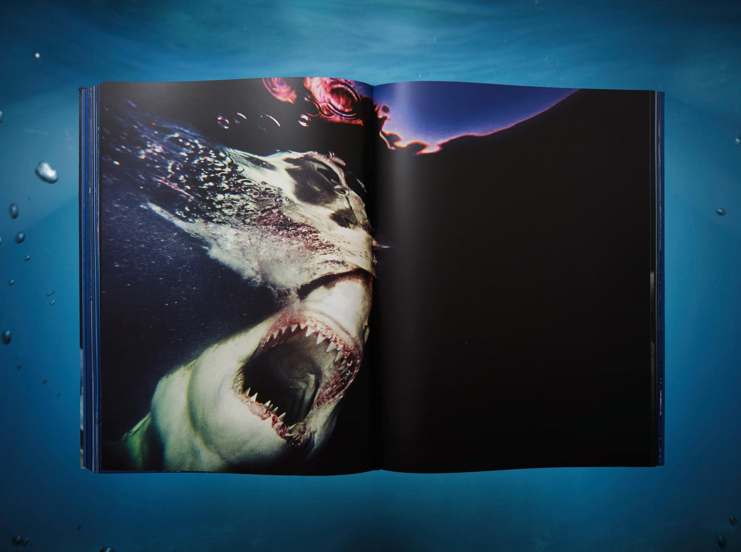 Michael Muller. Sharks, Art Edition No. 1–100 ‘Tear You Apart’ (English)