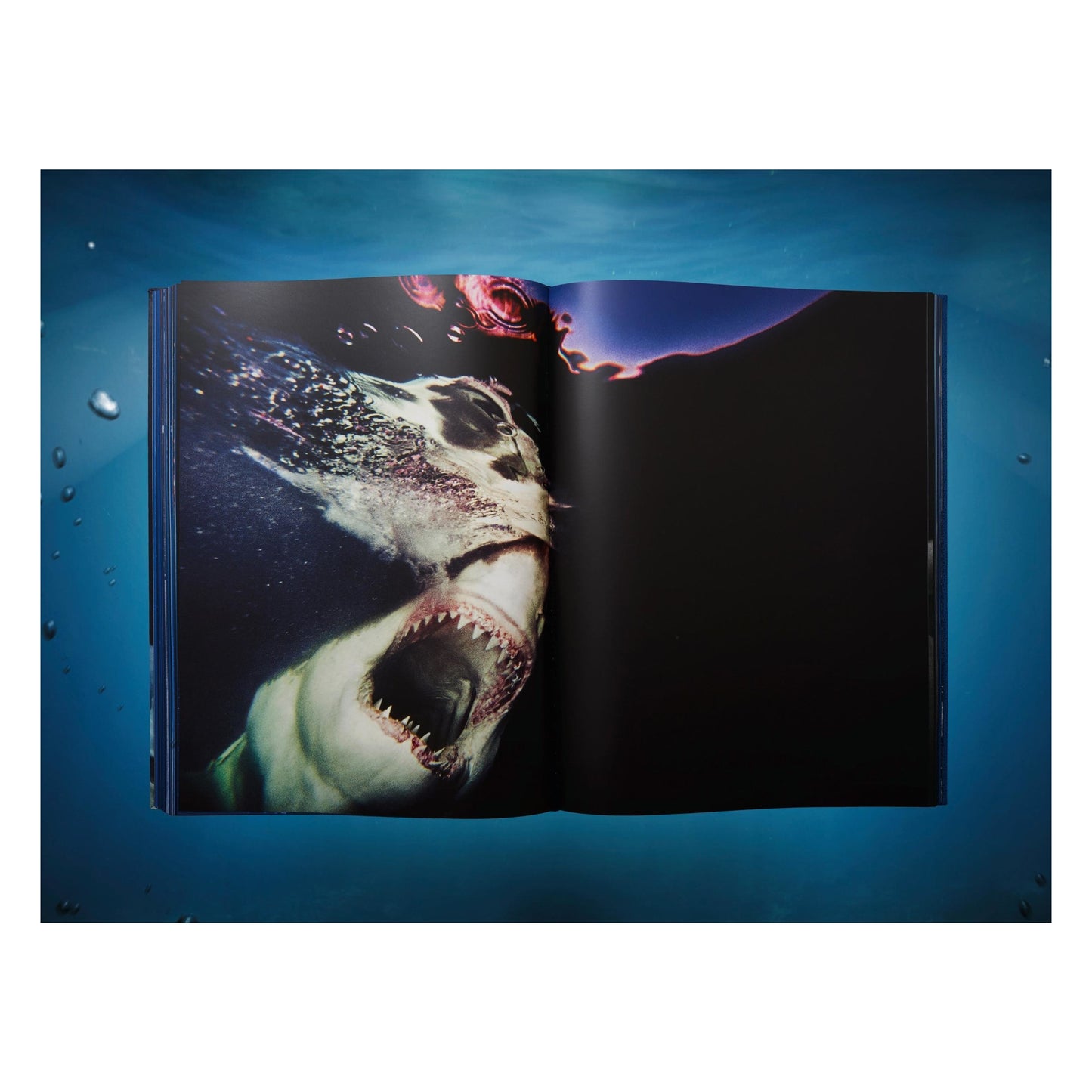 Michael Muller. Sharks, Art Edition No. 1–100 ‘Tear You Apart’ (English)