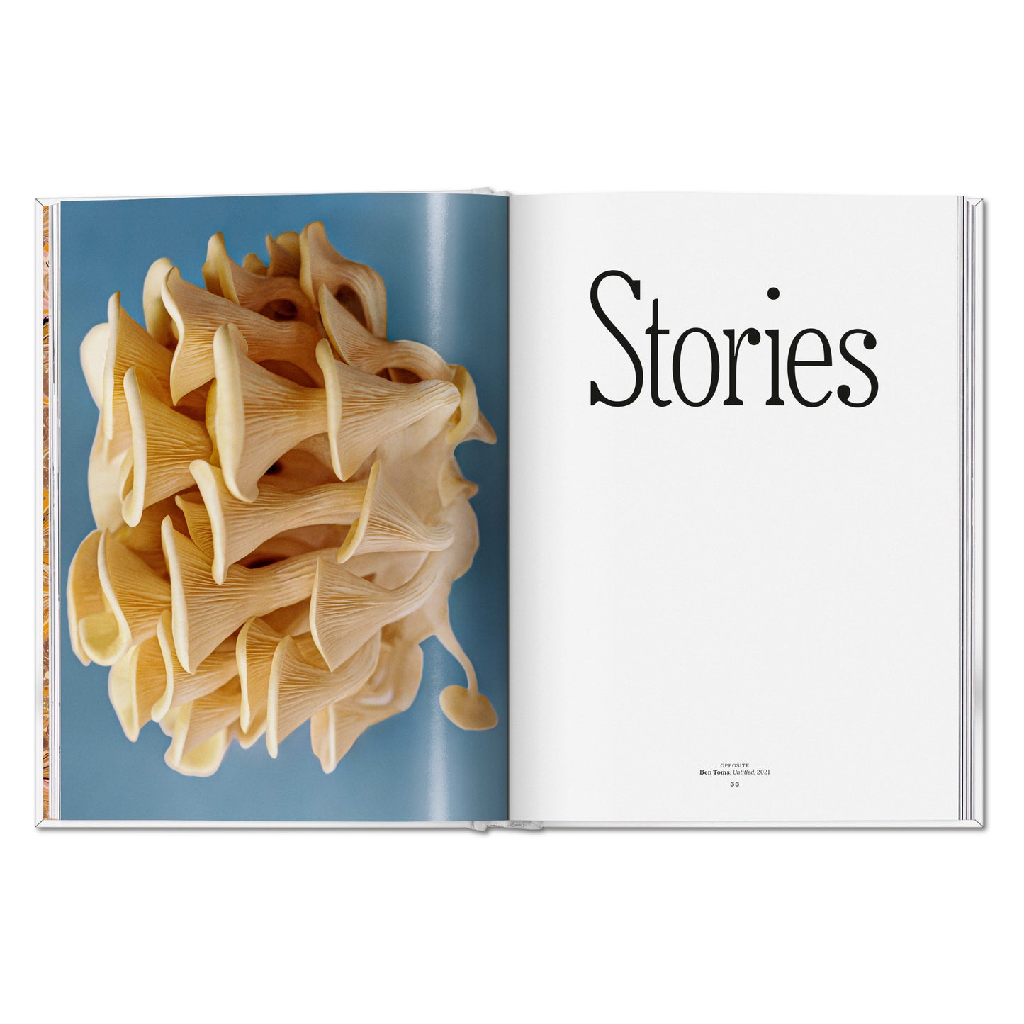The Gourmand's Mushroom. A Collection of Stories and Recipes (English)