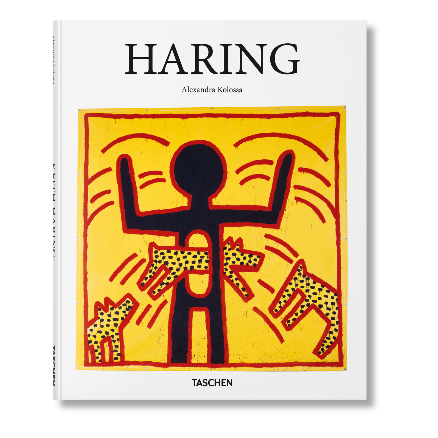 Haring (Italian)