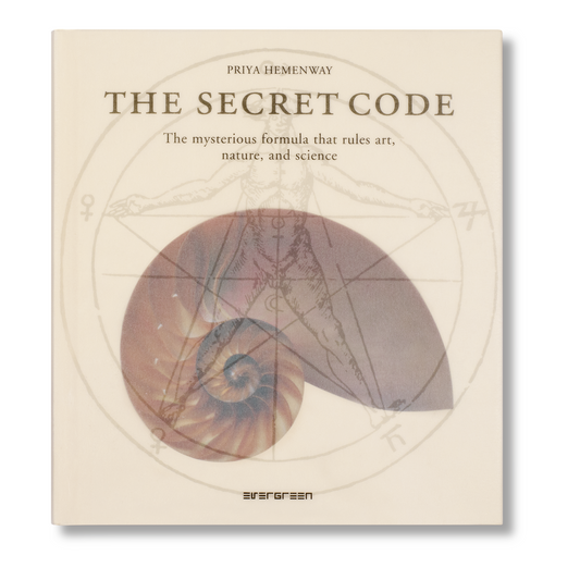 The Secret Code (Japanese)
