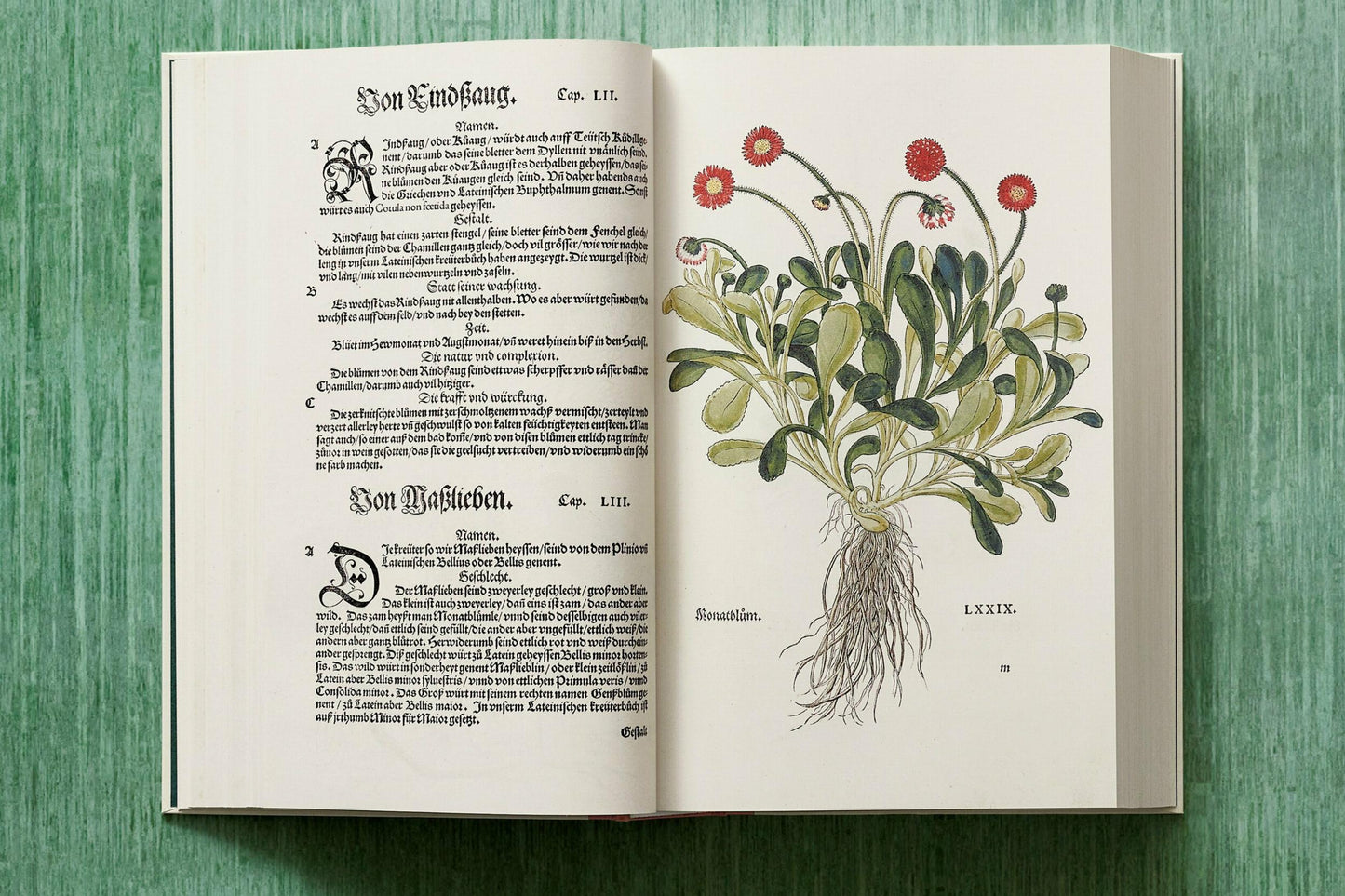 Leonhart Fuchs. Das New Kreüterbuch (German)
