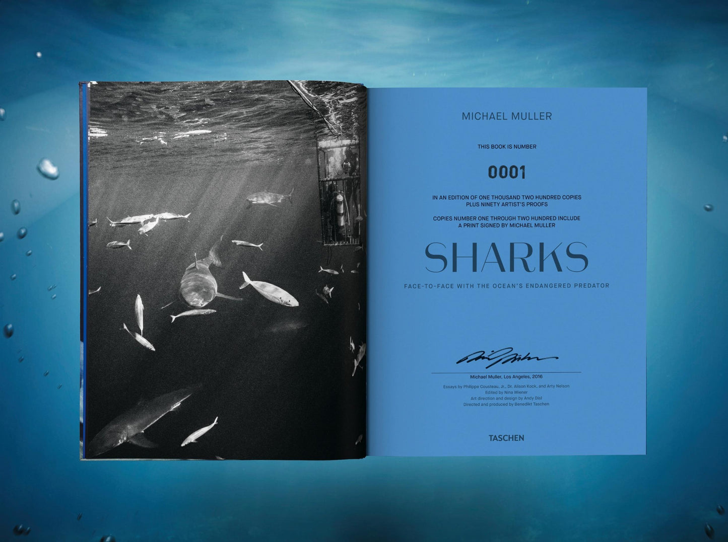 Michael Muller. Sharks, Art Edition No. 101–200 ‘Under Study’ (English)