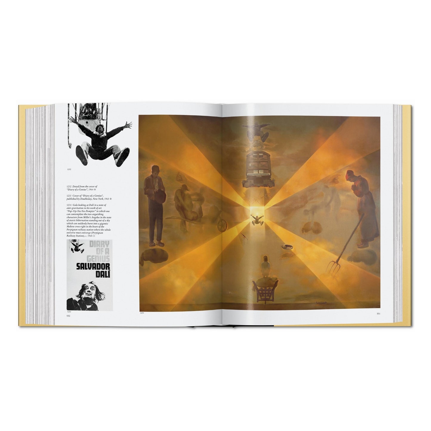 Dalí. La obra pictórica (Spanish)