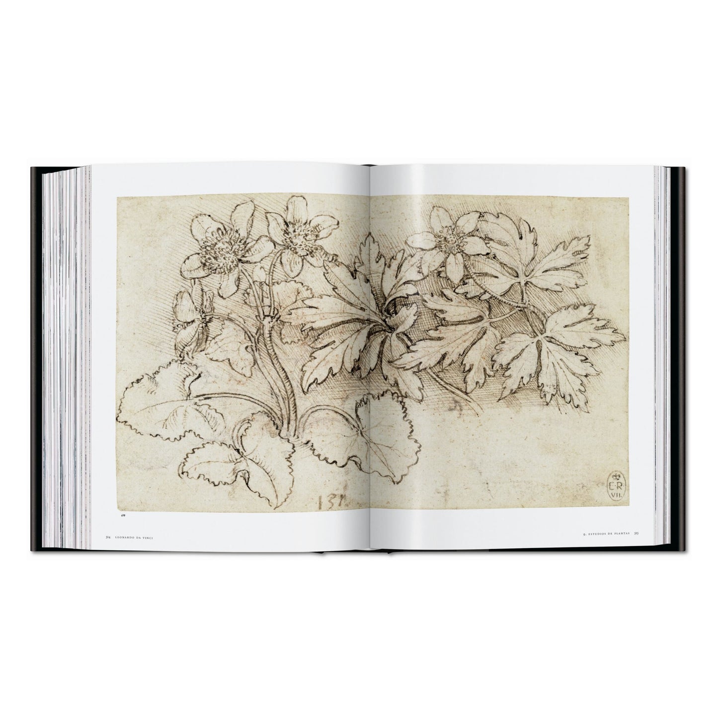 Léonard. Tout l'œuvre peint et graphique (French)