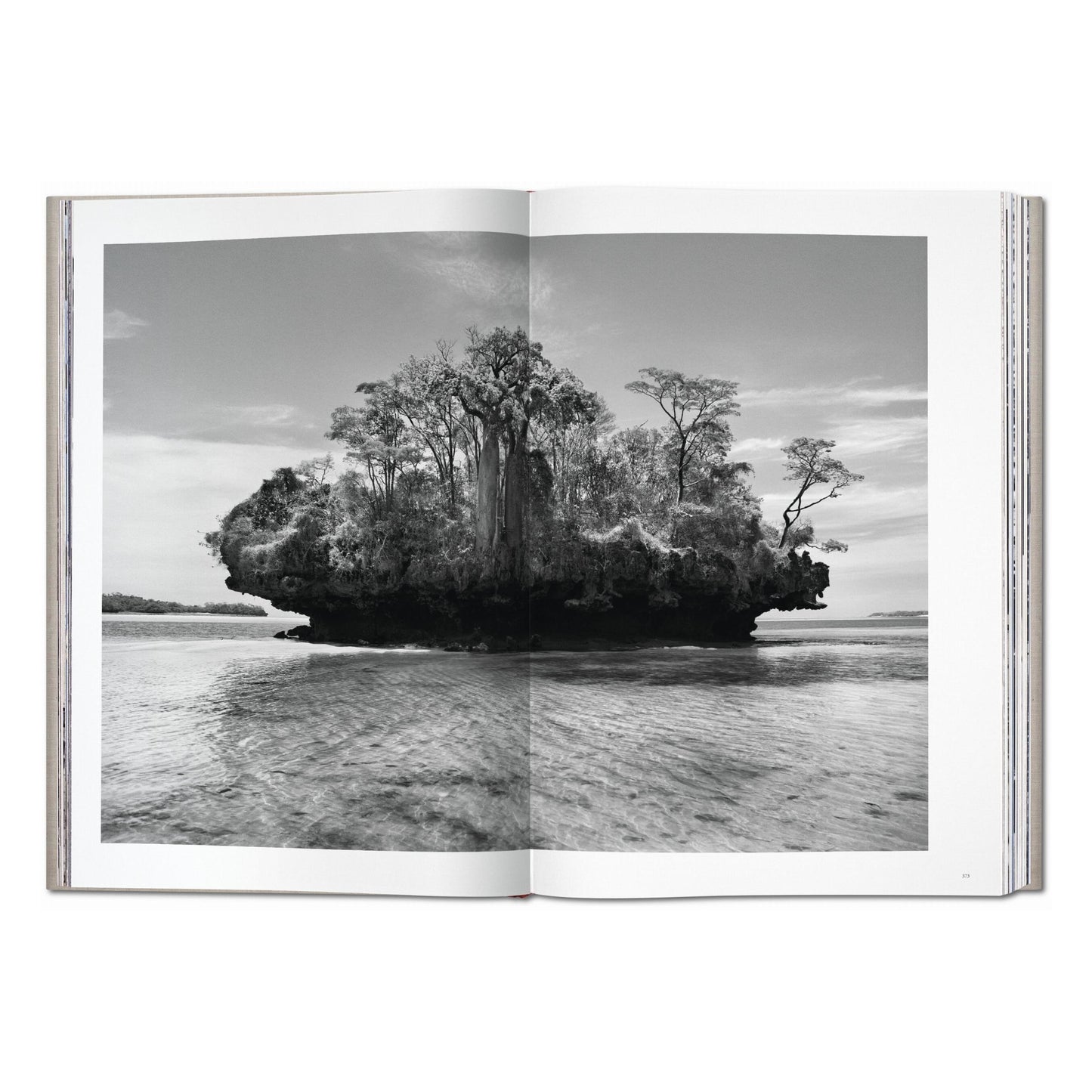 Sebastião Salgado. Genesis (English) (SA)