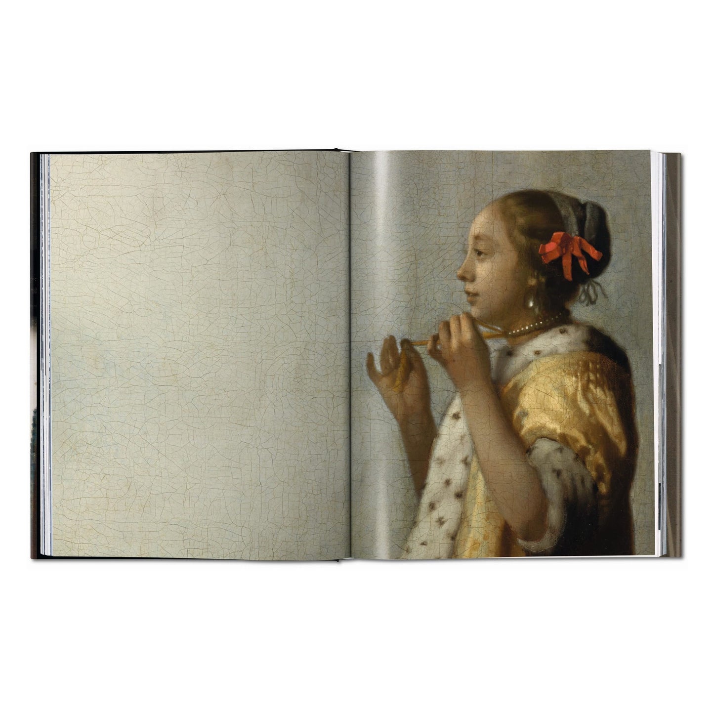 Vermeer. Das vollständige Werk (German)
