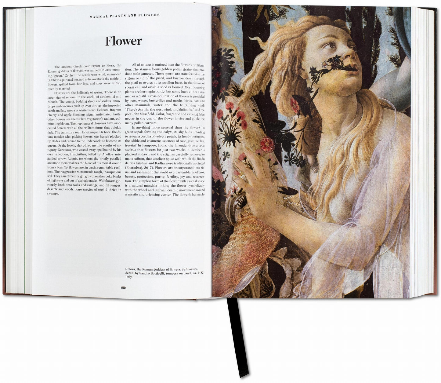 The Book of Symbols. Reflections on Archetypal Images (English)