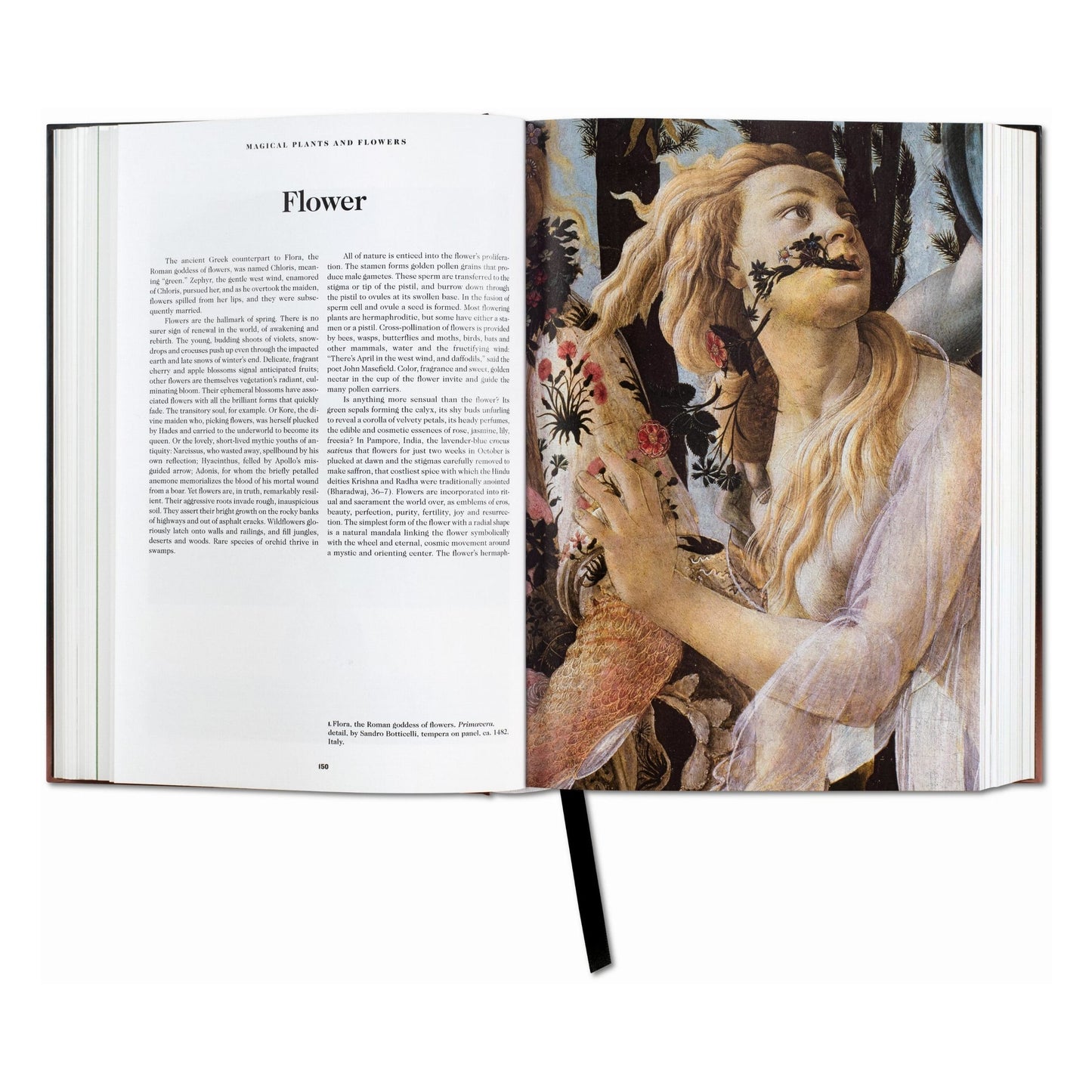 Das Buch der Symbole. Betrachtungen zu archetypischen Bildern (German)