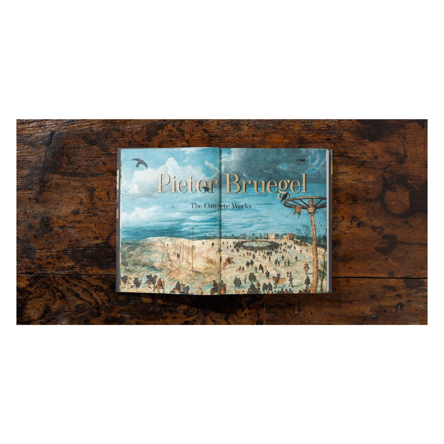 Bruegel. Das vollständige Werk (German)