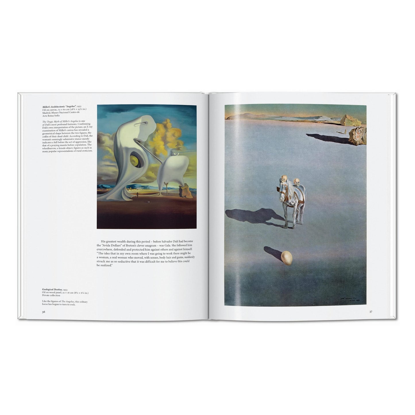 Dalí (Italian)