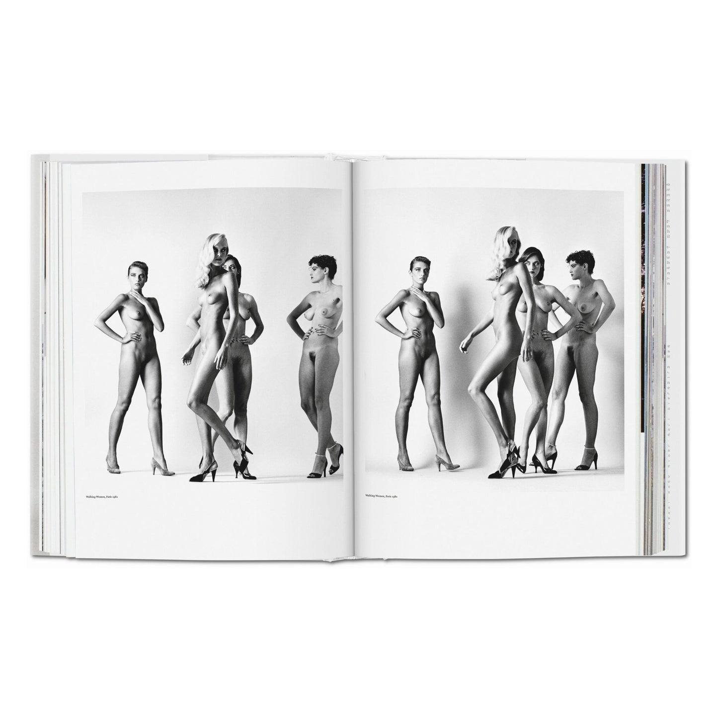 Helmut Newton. SUMO (German, French, English)