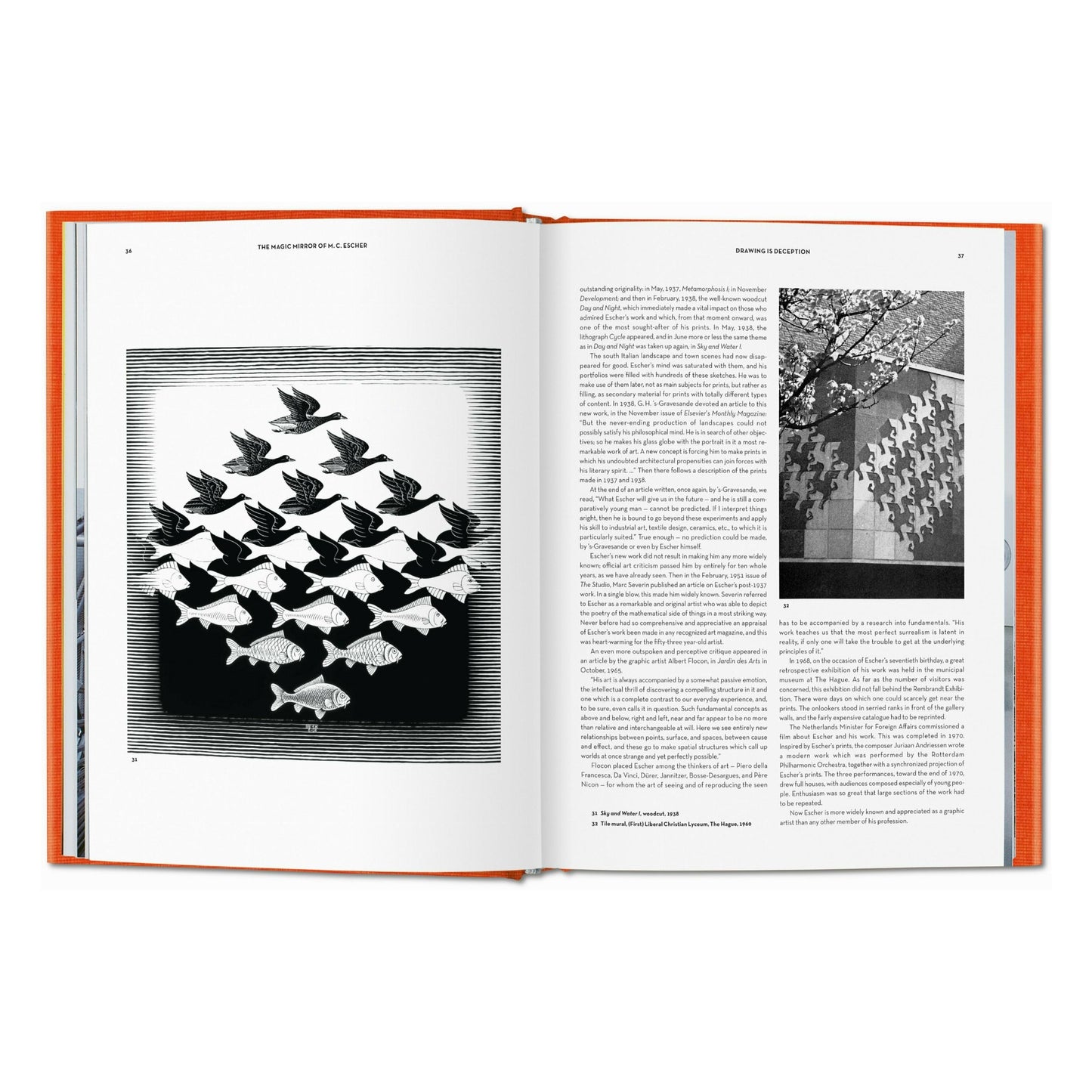 El espejo mágico de M.C. Escher (Spanish)