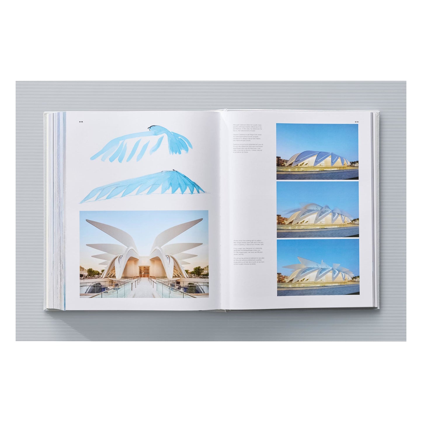Calatrava. Complete Works 1979–Today. Art Edition 'Transfigured Tree. Messenger of Light', 2023 (German, French, English)