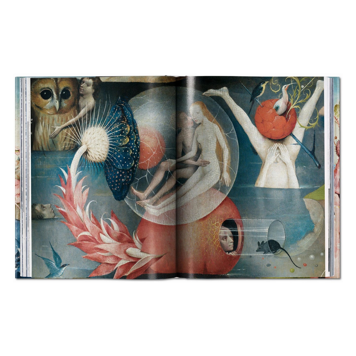 Hieronymus Bosch. Complete Works (Dutch)
