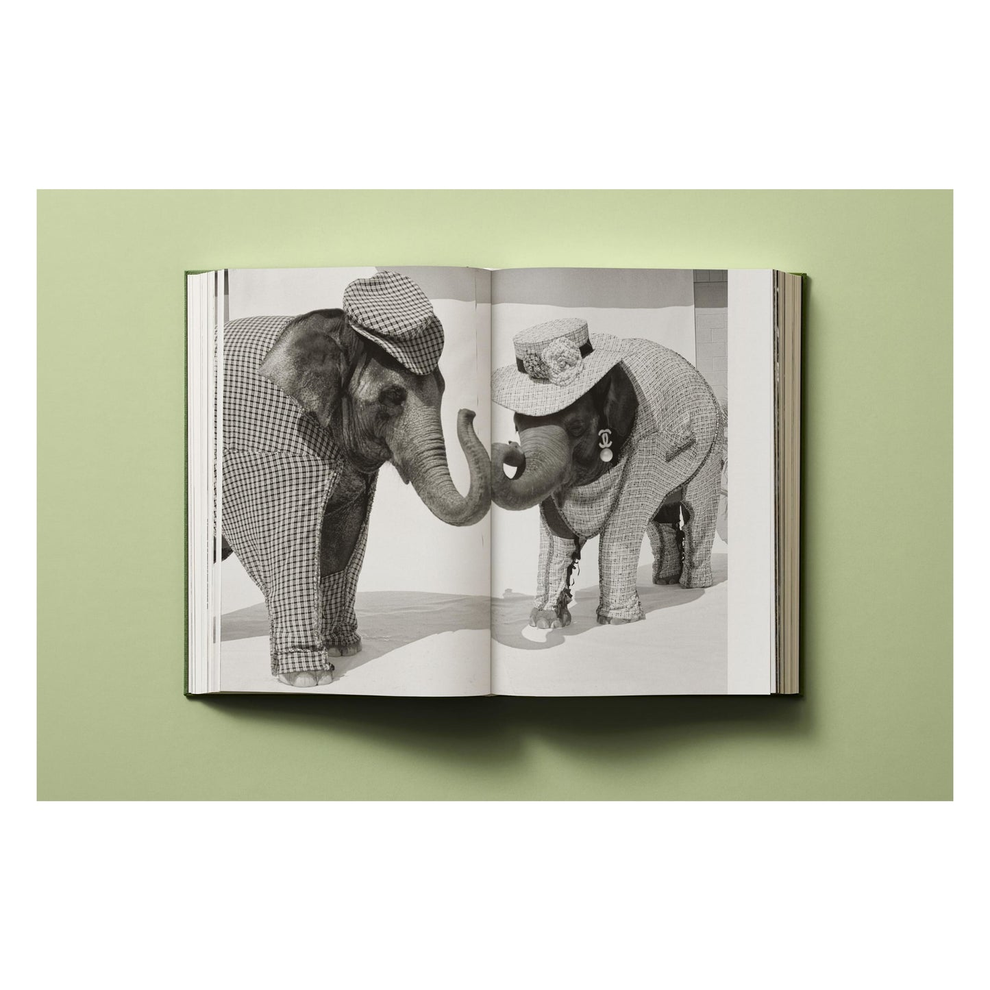 Bruce Weber. My Education (German, French, English)