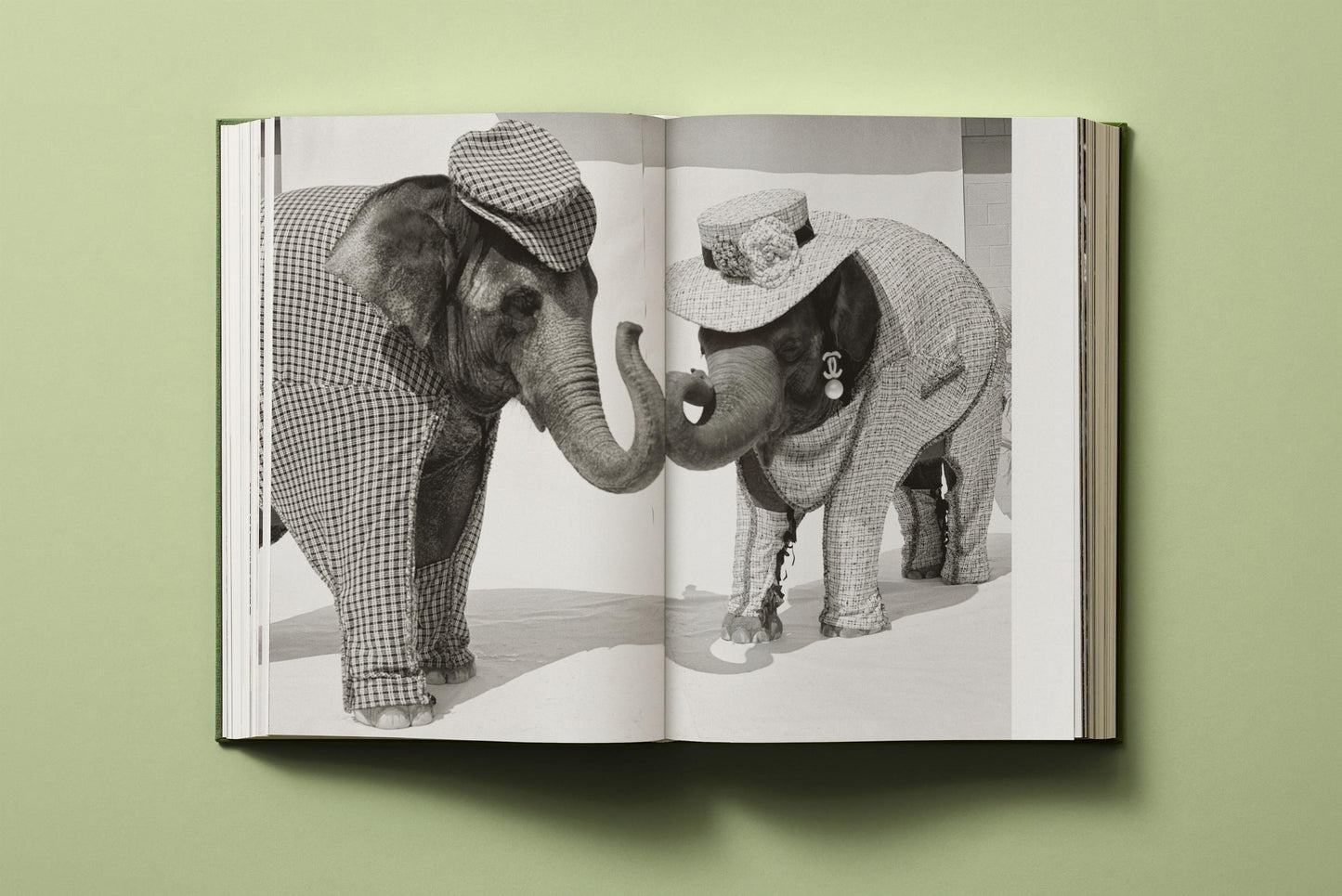 Bruce Weber. My Education (German, French, English)