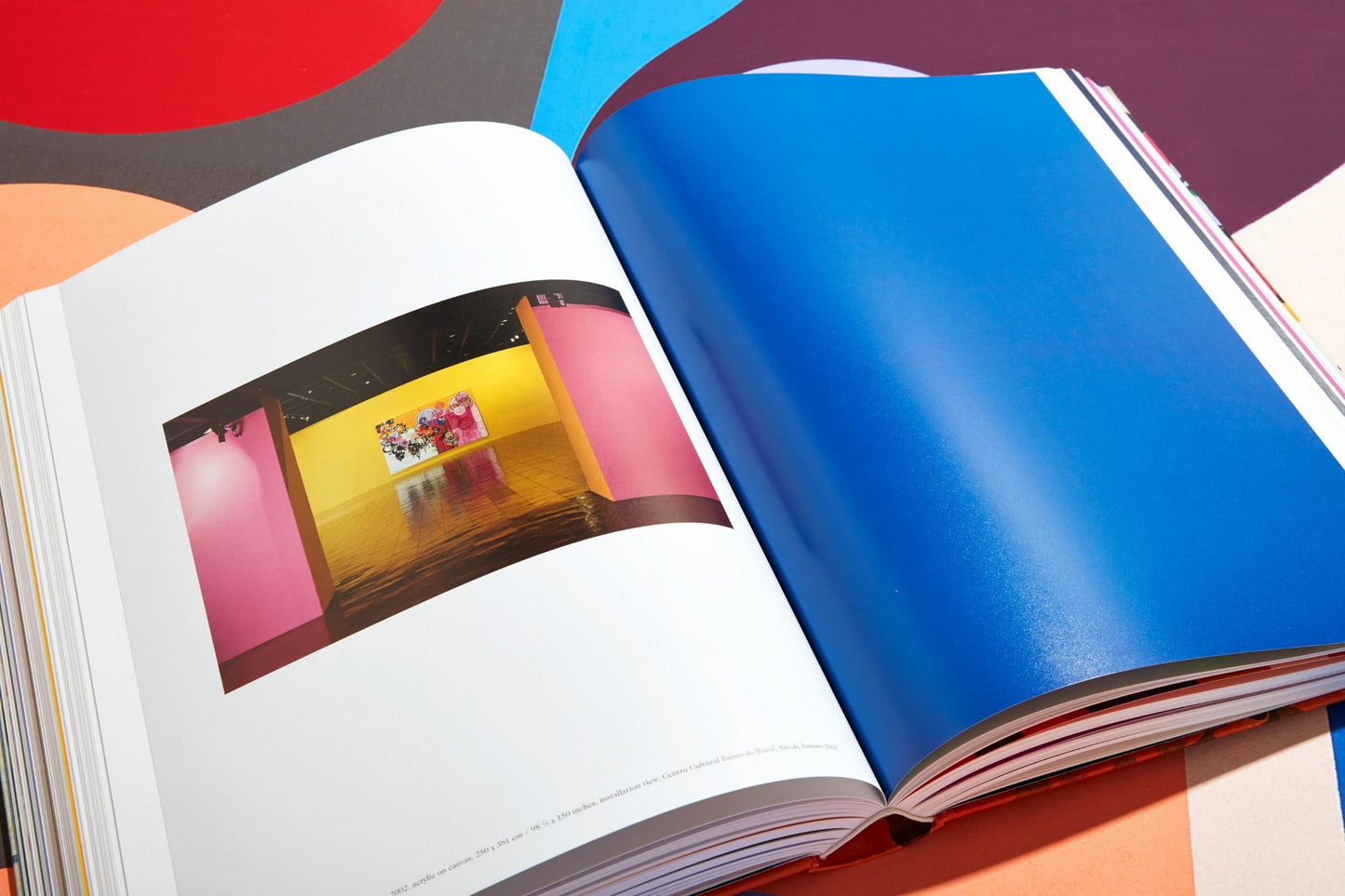 Beatriz Milhazes (German, French, English) (AP)