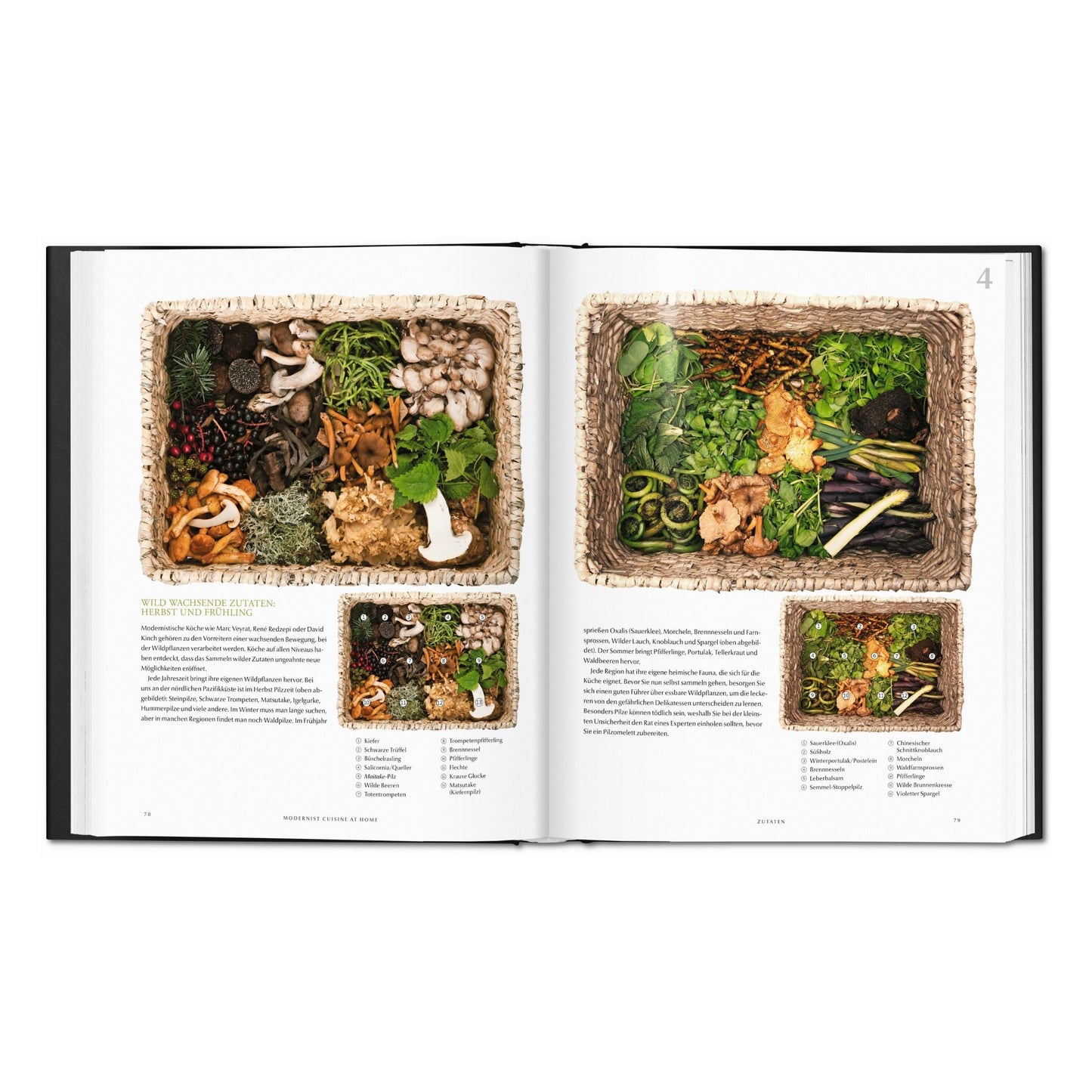 Modernist Cuisine at Home (German)
