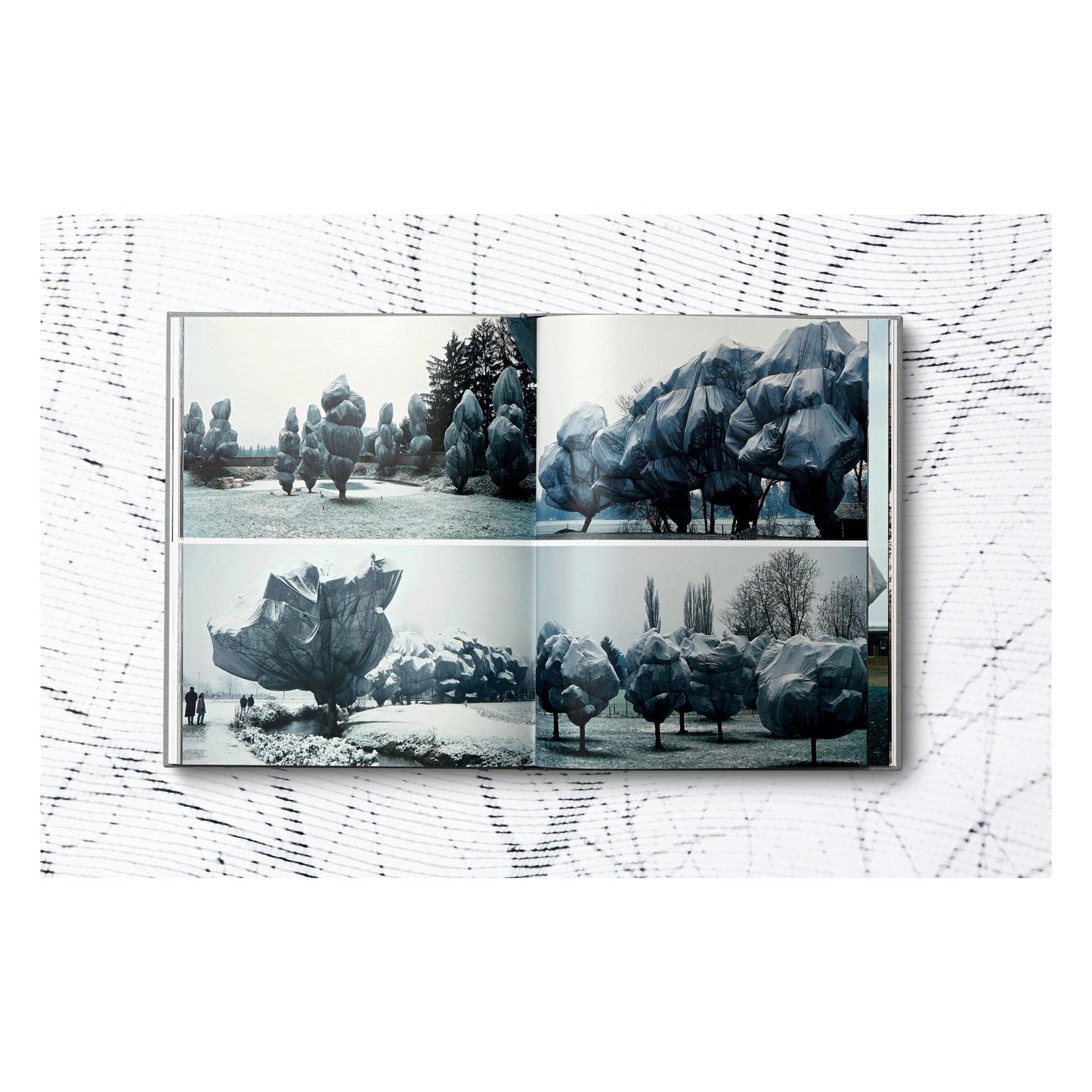 Christo and Jeanne-Claude. Wrapped Trees. Basel 1997–1998 (German, French, English) (AP)