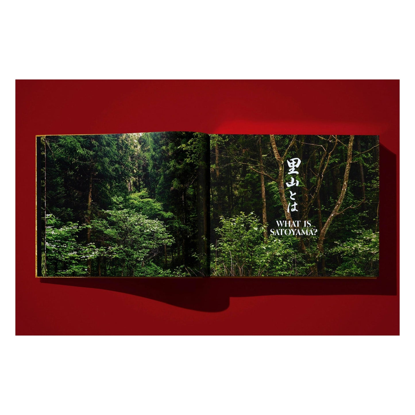 Yoshihiro Narisawa. Satoyama Cuisine (English) (AP)