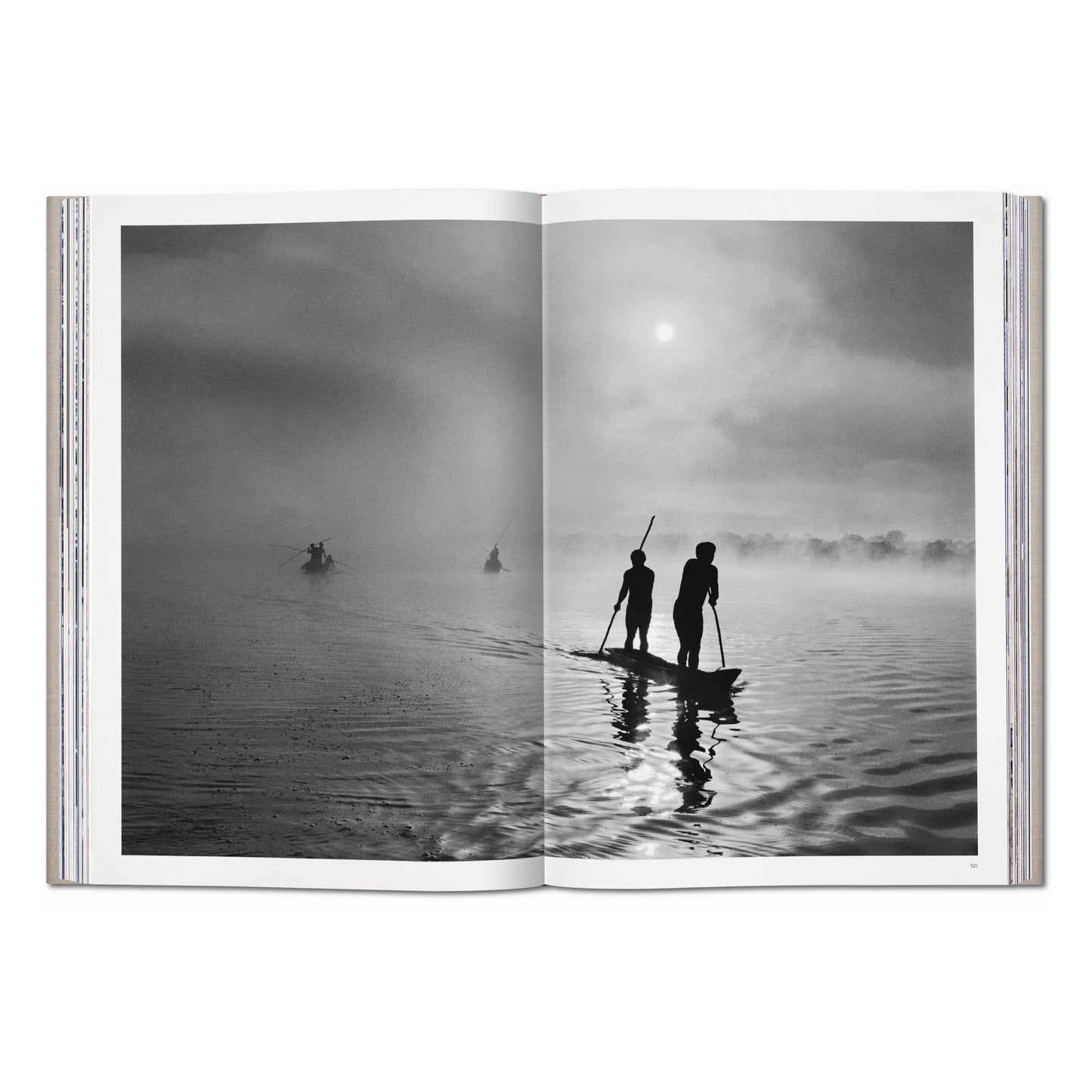 Sebastião Salgado. Genesis (English) (AP)