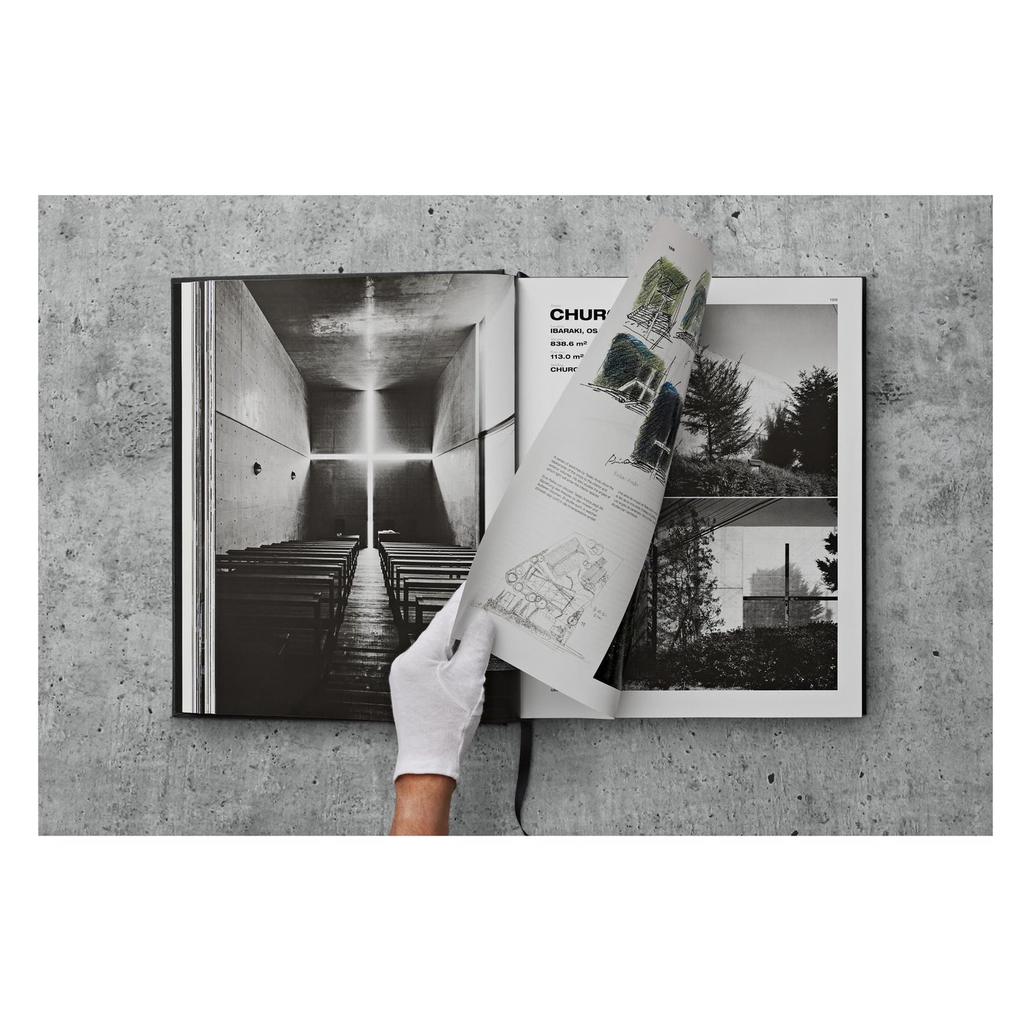 Ando. Complete Works 1975–Today. 2023 Edition (German, French, English)