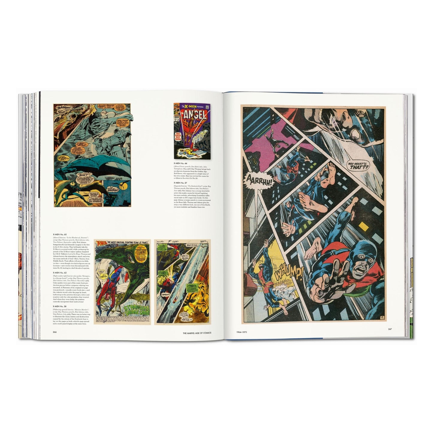 The Marvel Age of Comics 1961–1978 (English)