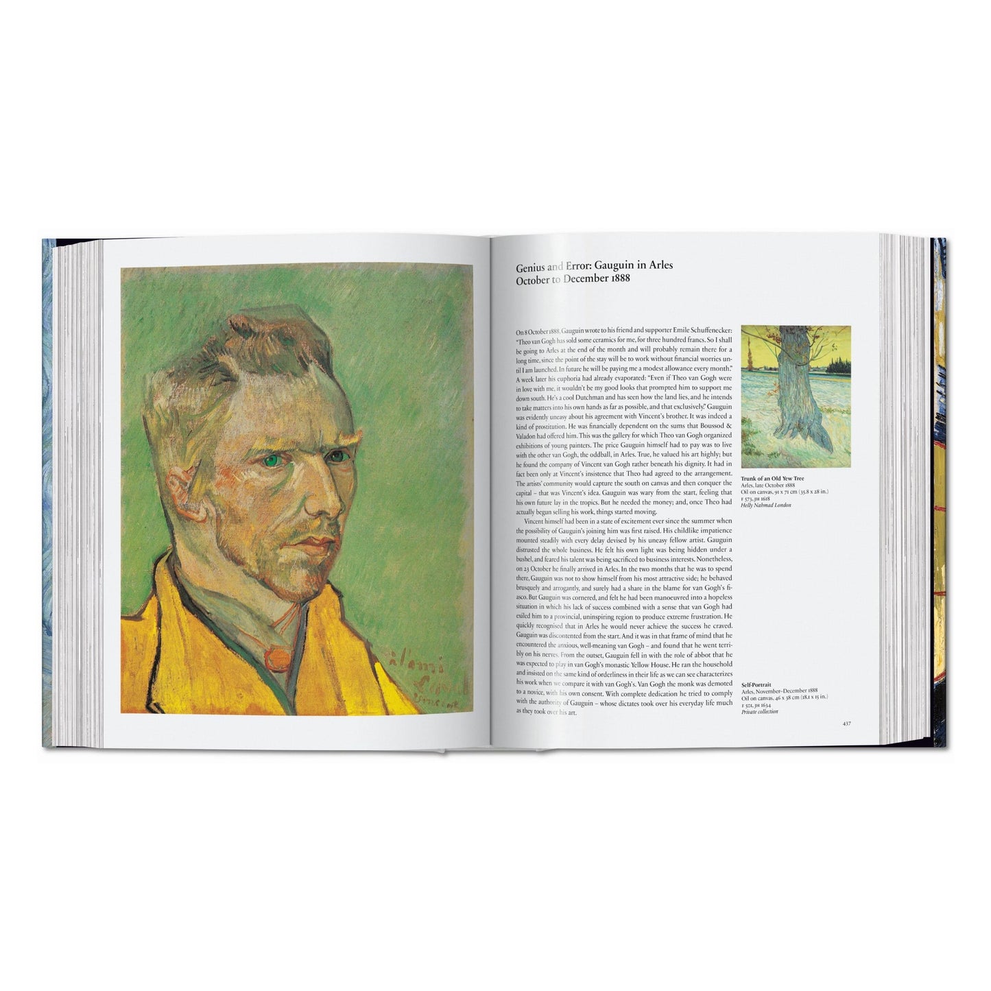 Van Gogh. Tout l'œuvre peint (French)