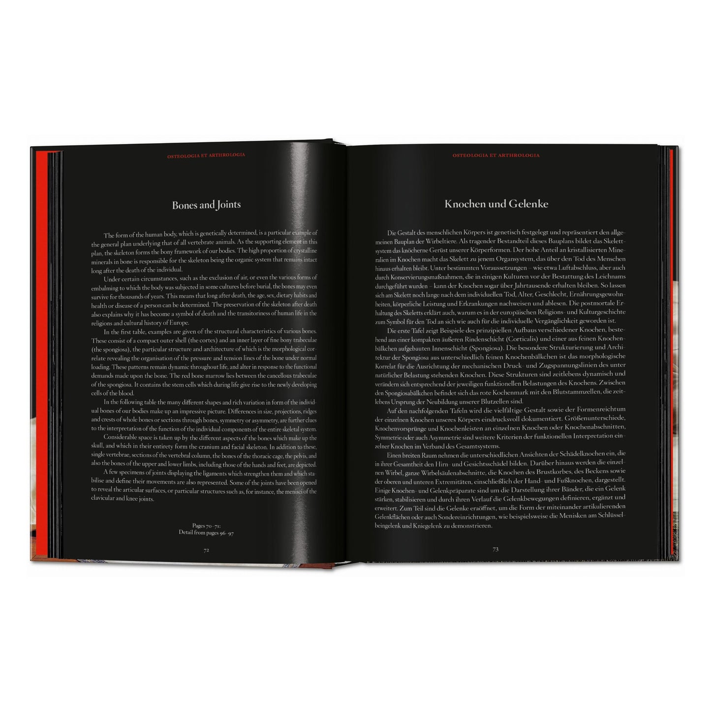 Anatomical Waxes. 45th Ed. (German, French, English)